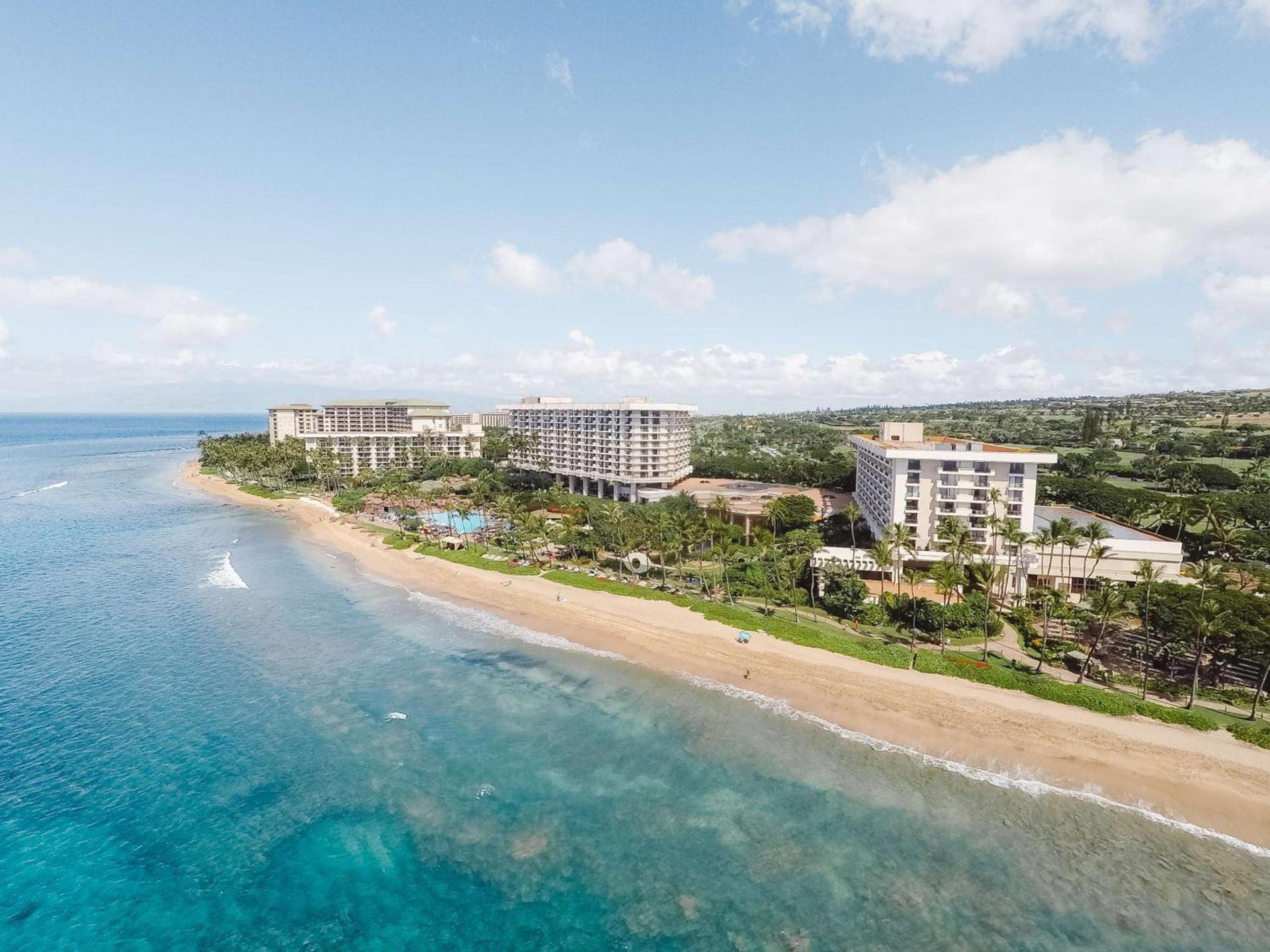 Hyatt Regency Maui Resort & Spa photo 6