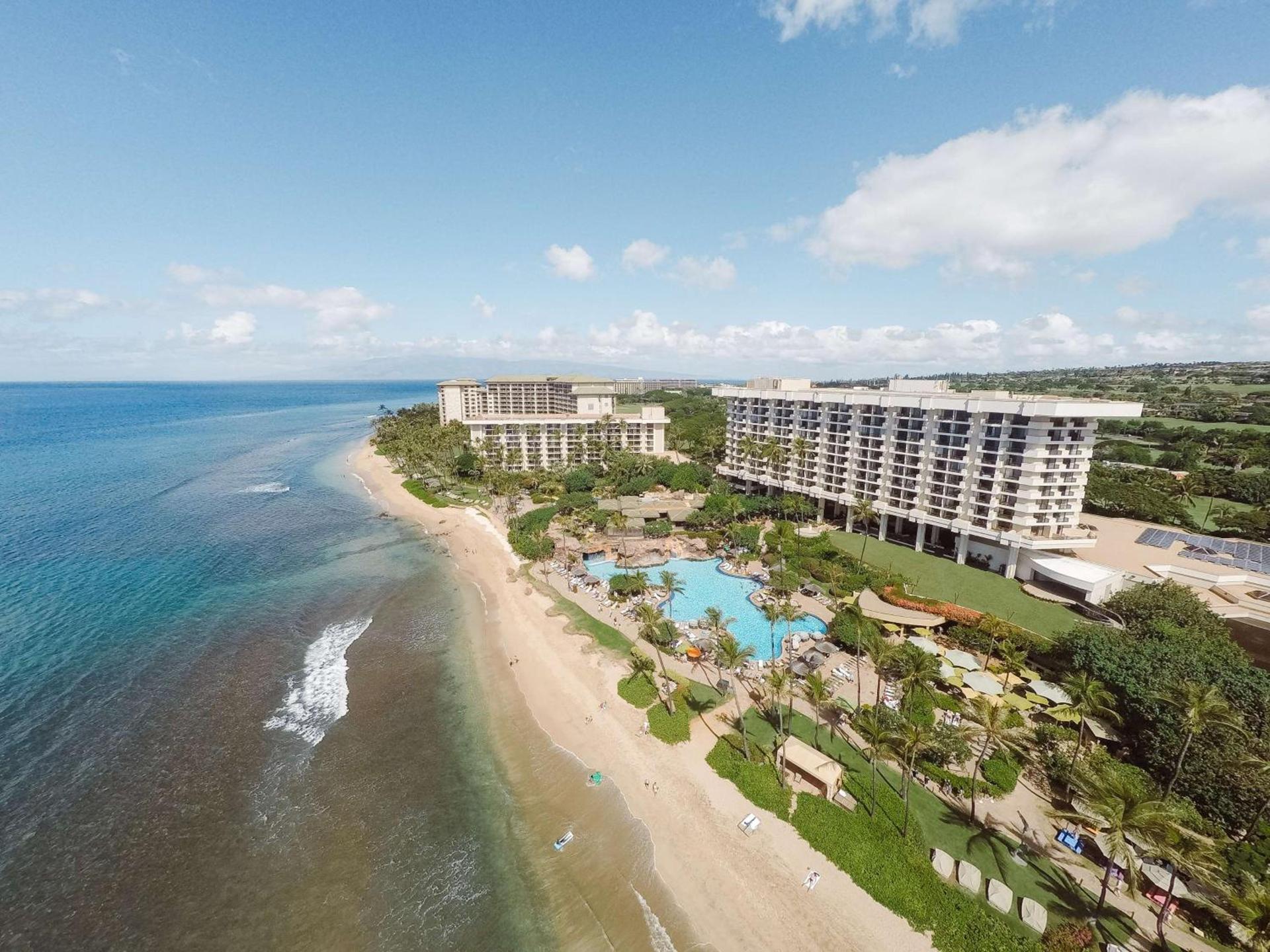 Hyatt Regency Maui Resort & Spa photo 7