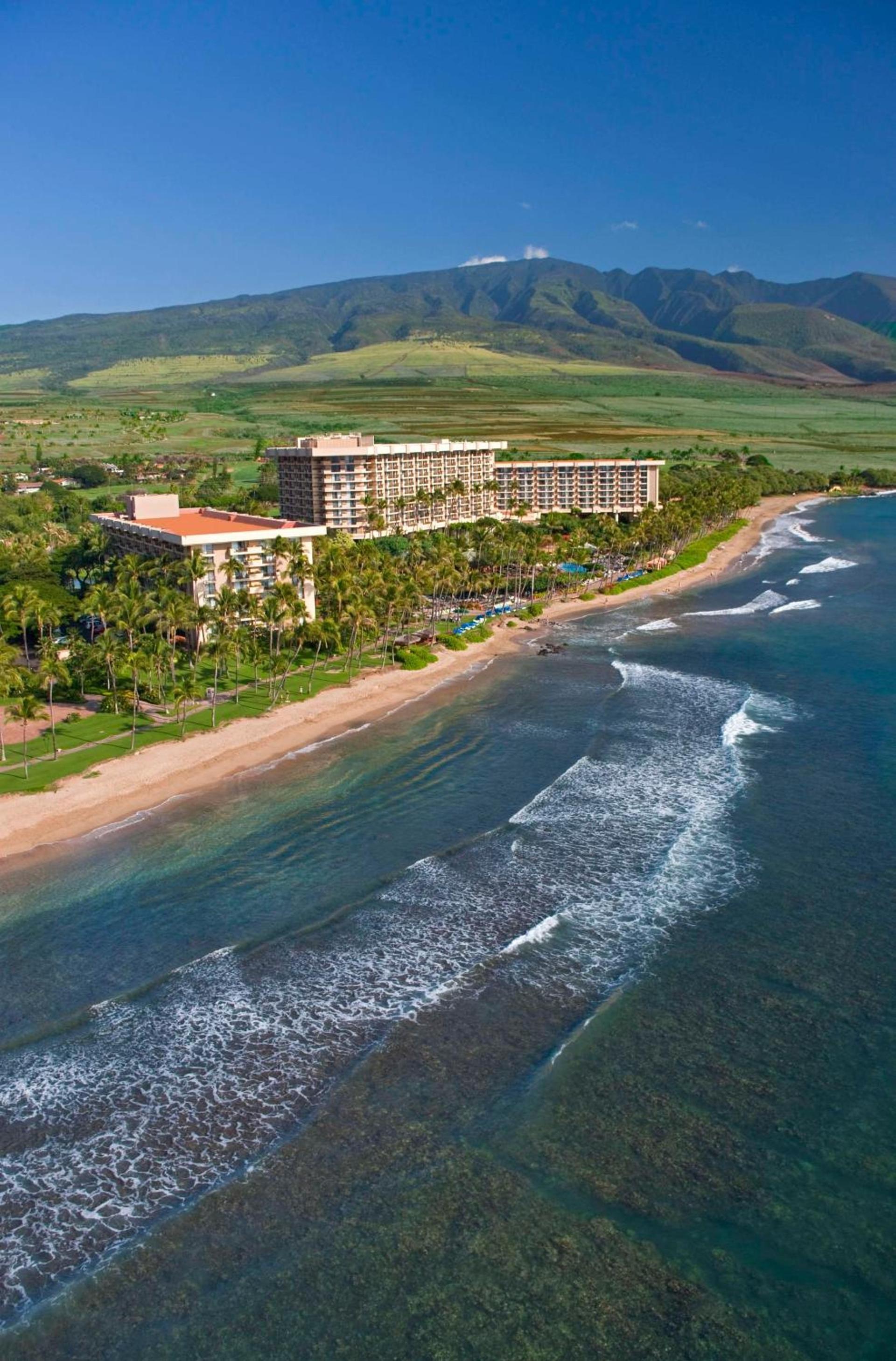 Hyatt Regency Maui Resort & Spa photo 10
