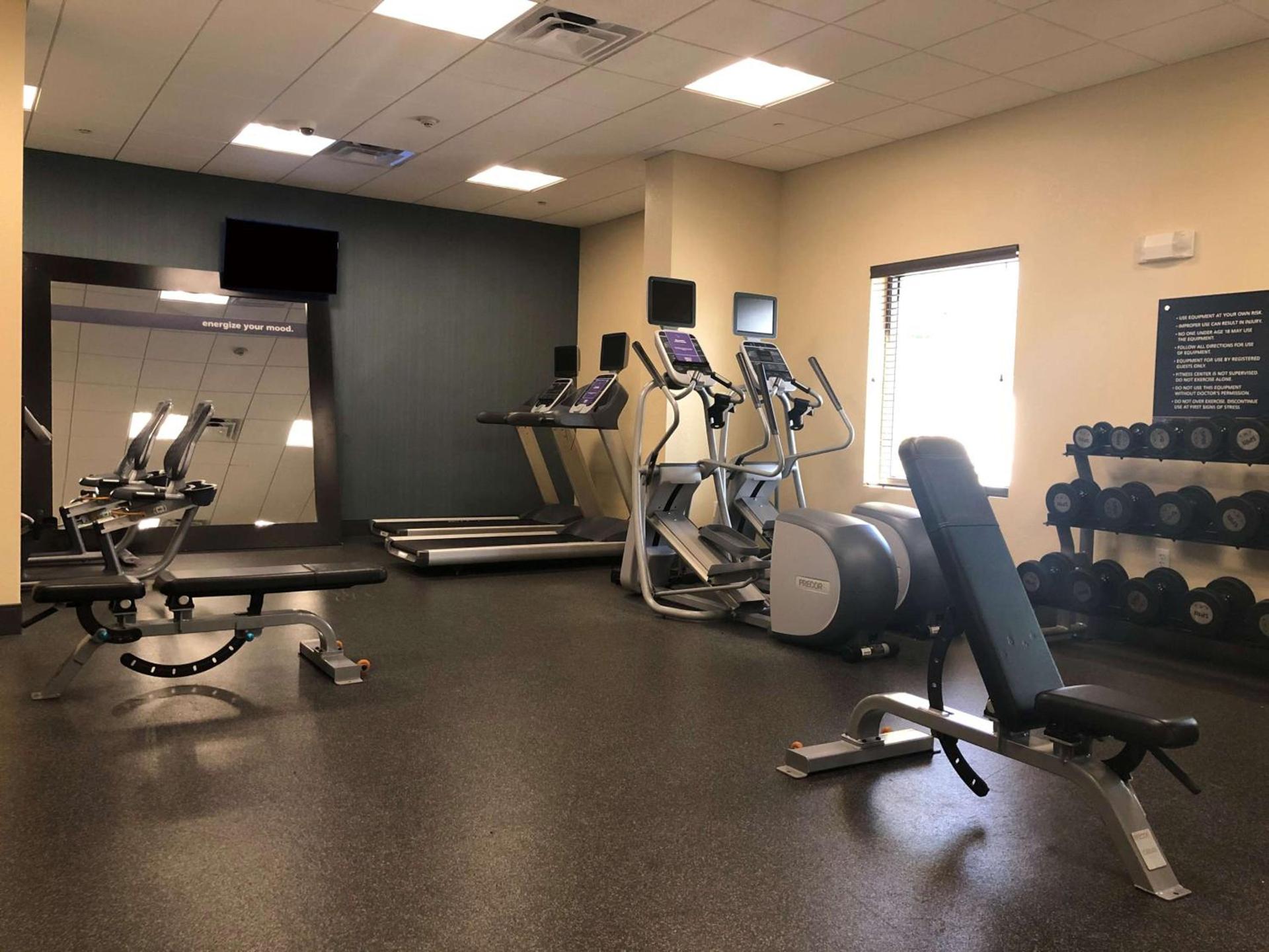 Hampton Inn & Suites Tampa Northwest/Oldsmar photo 11
