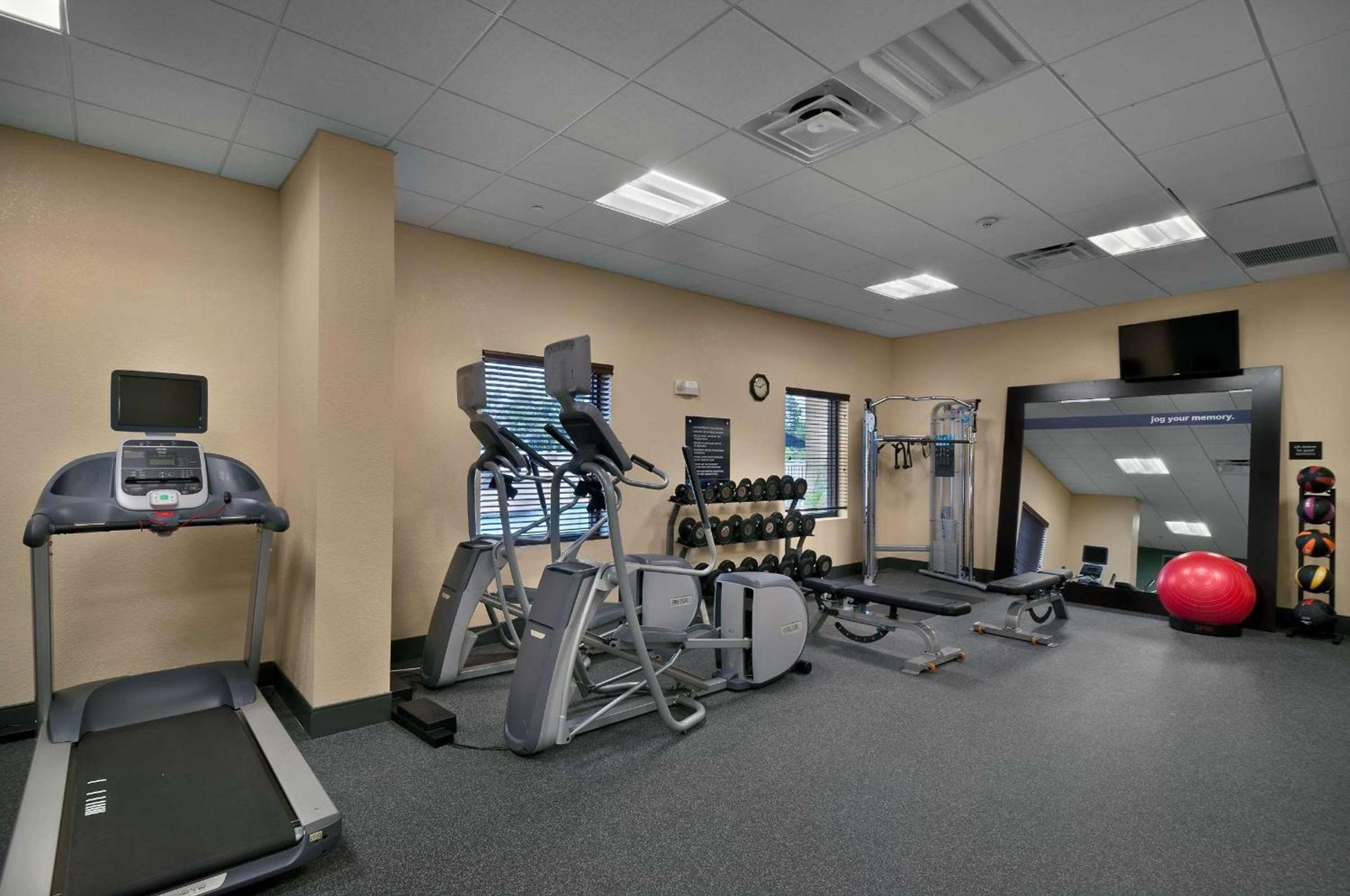 Hampton Inn & Suites Tampa Northwest/Oldsmar photo 14