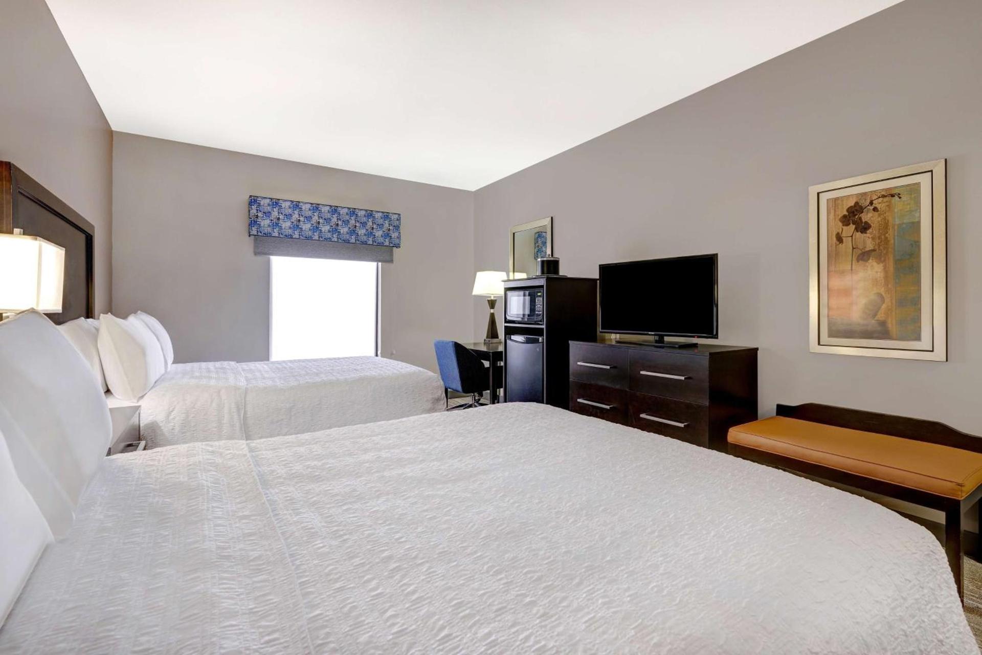 Hampton Inn & Suites Tampa Northwest/Oldsmar photo 21