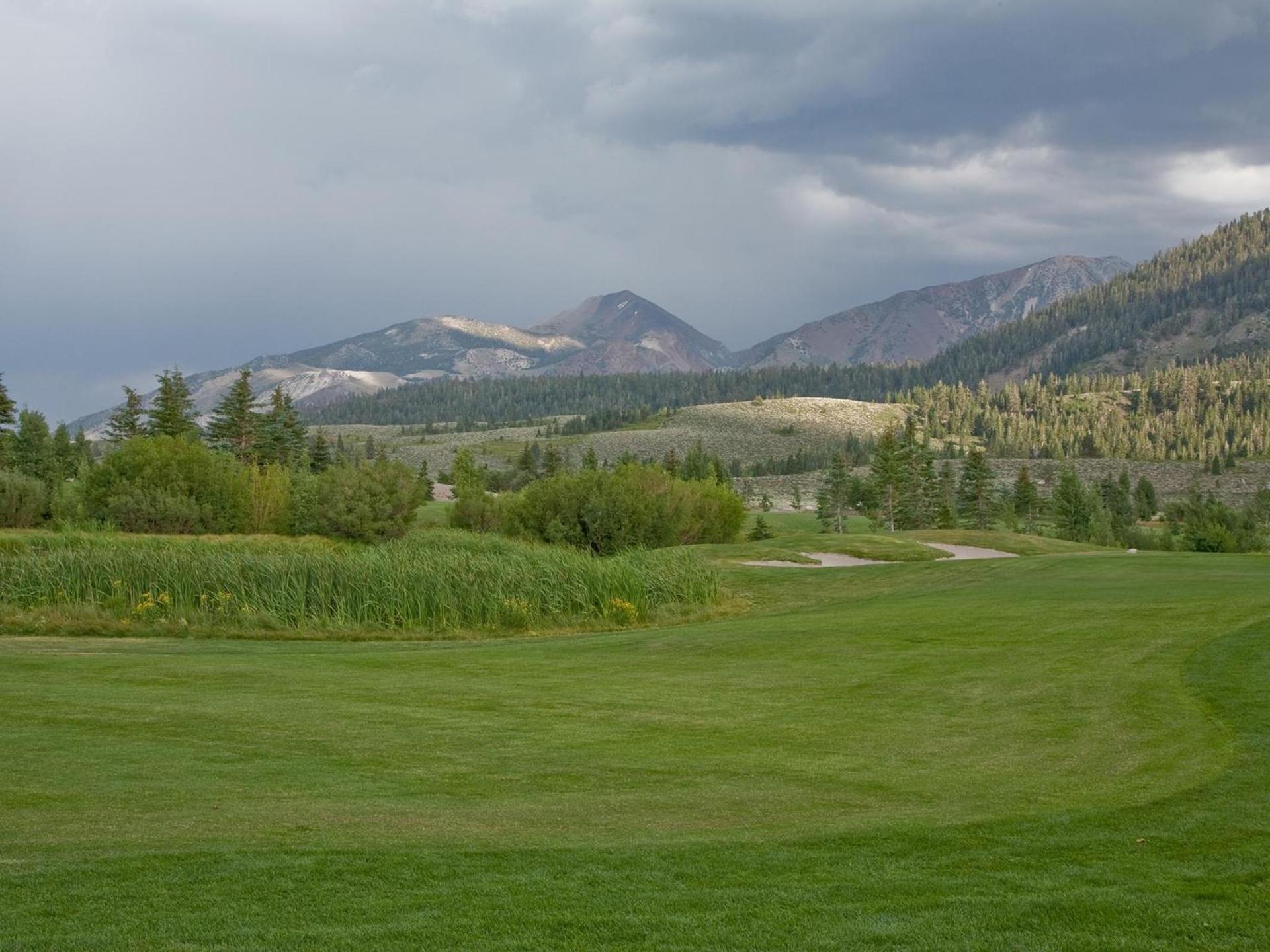 Snowcreek Resort Vacation Rentals photo 27