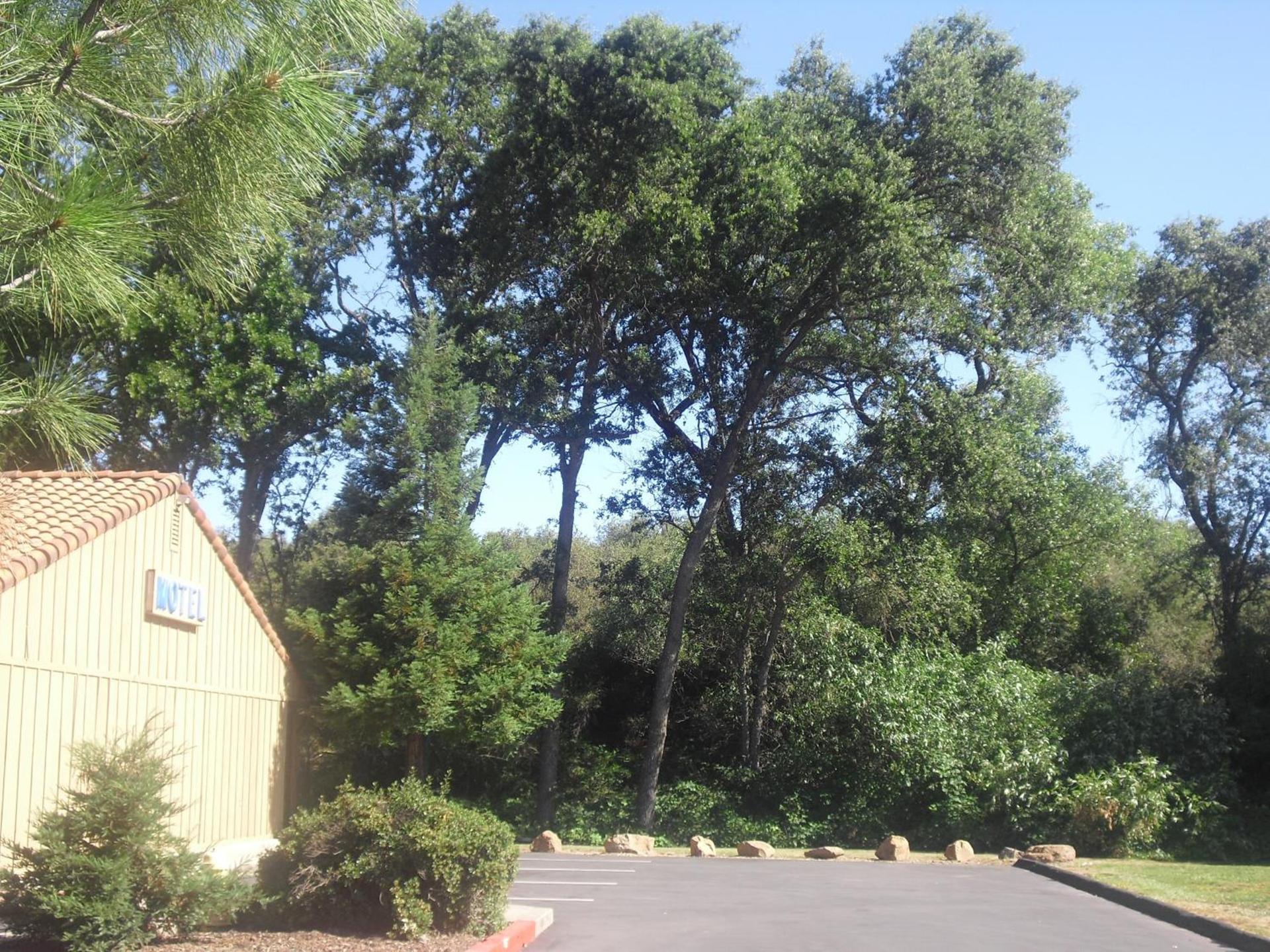 Creekside Lodge photo 18