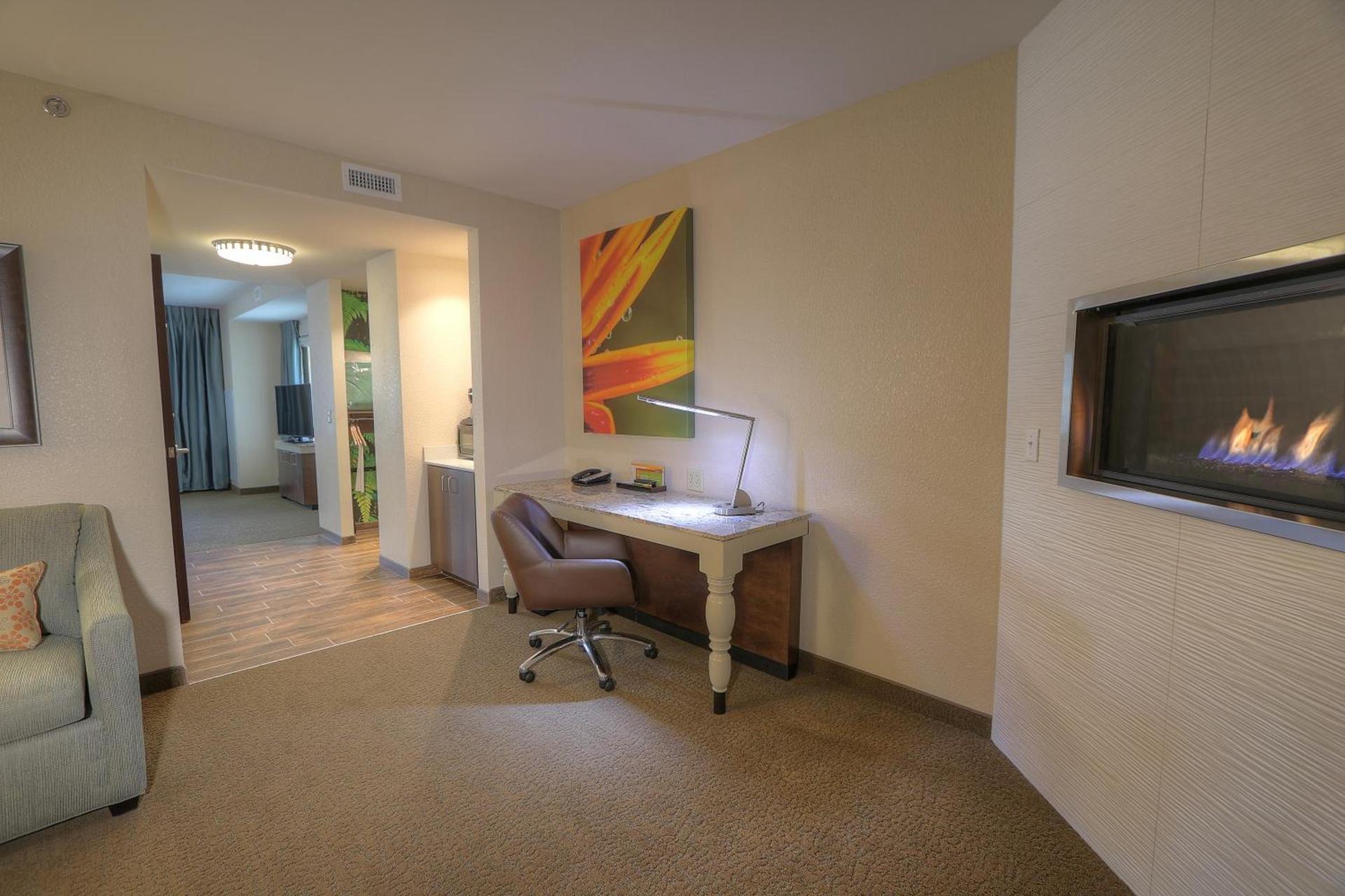 Hilton Garden Inn Pigeon Forge photo 86