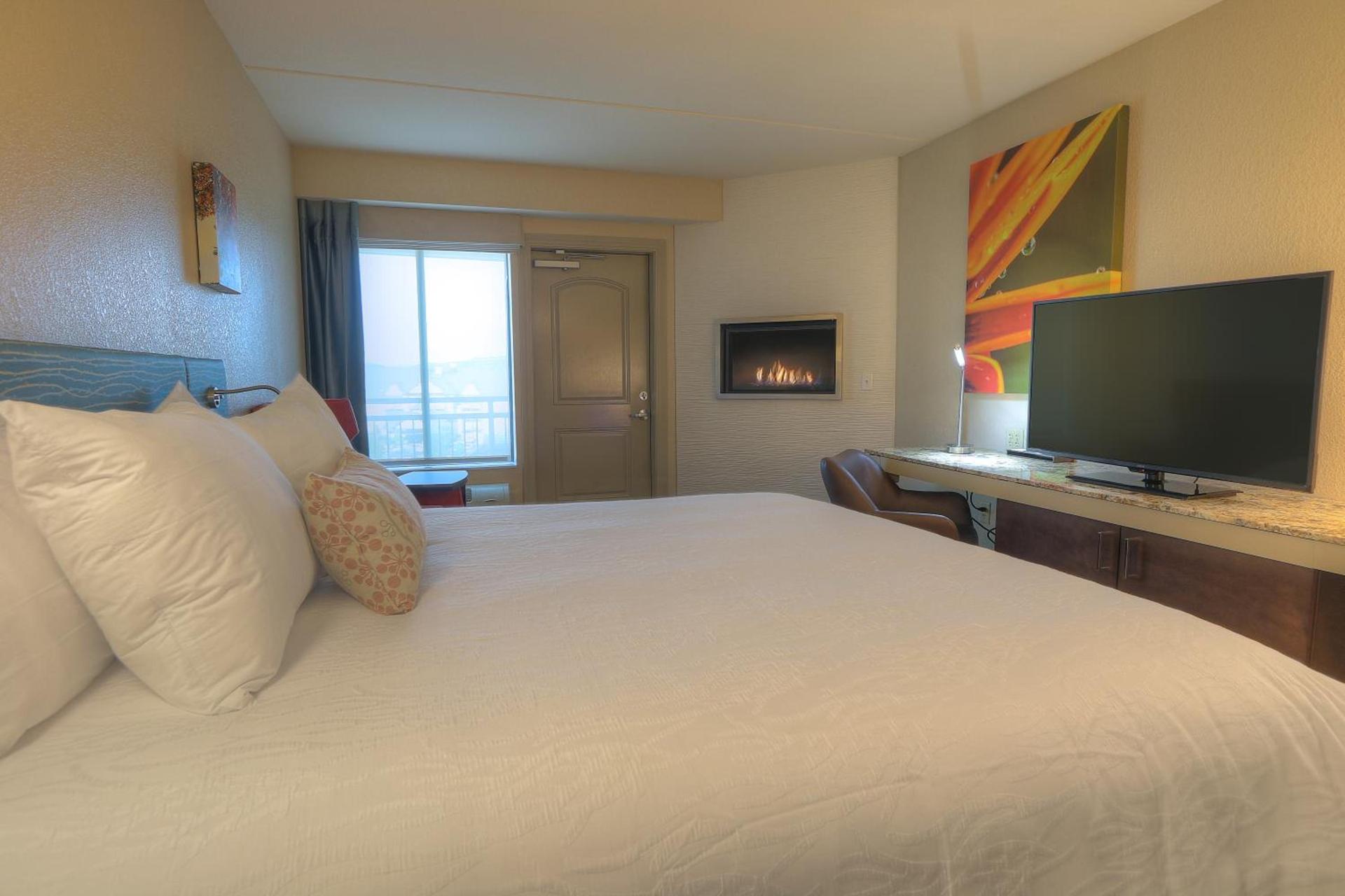 Hilton Garden Inn Pigeon Forge photo 87