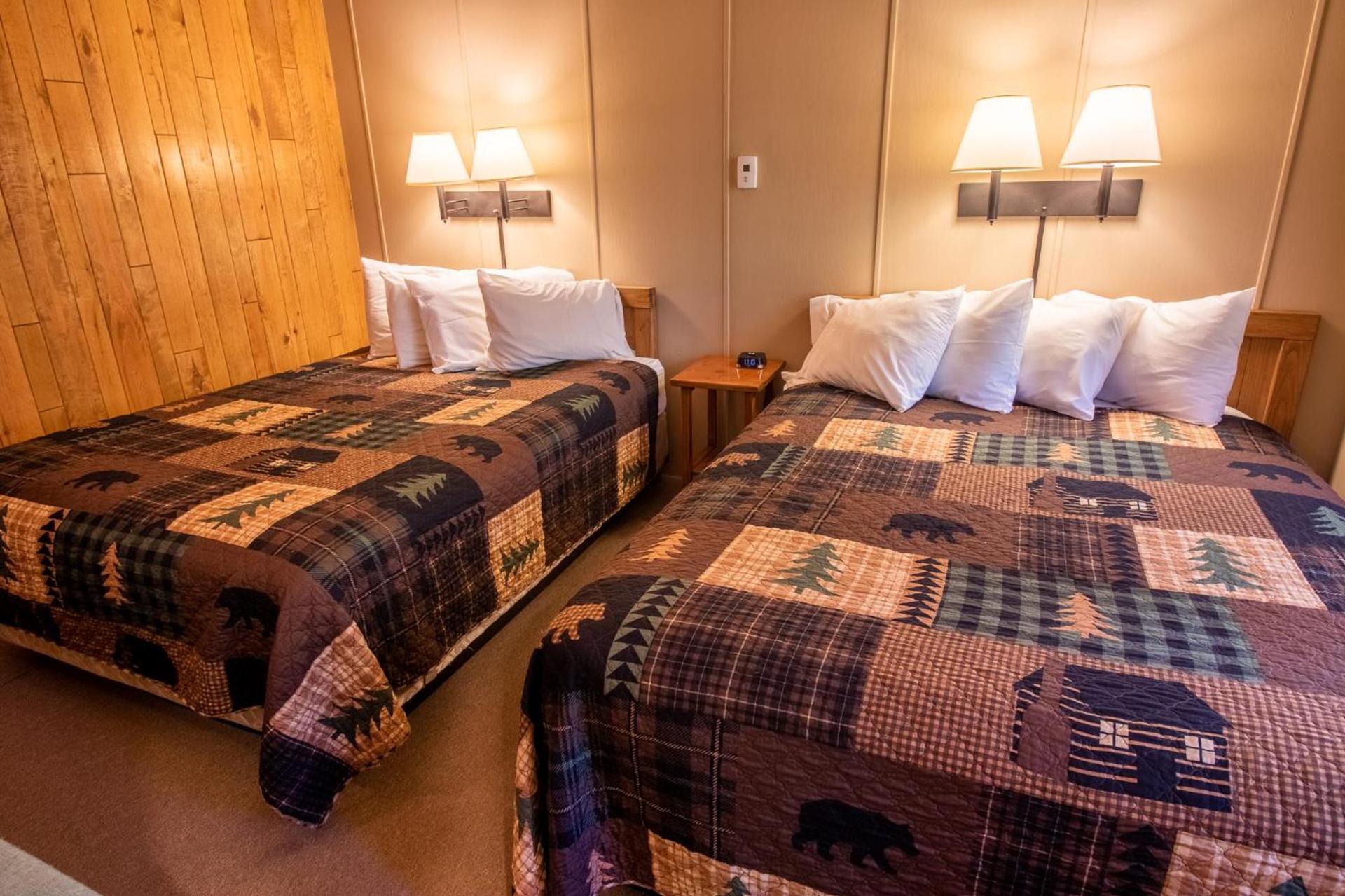 Castle Mountain Lodge photo 61