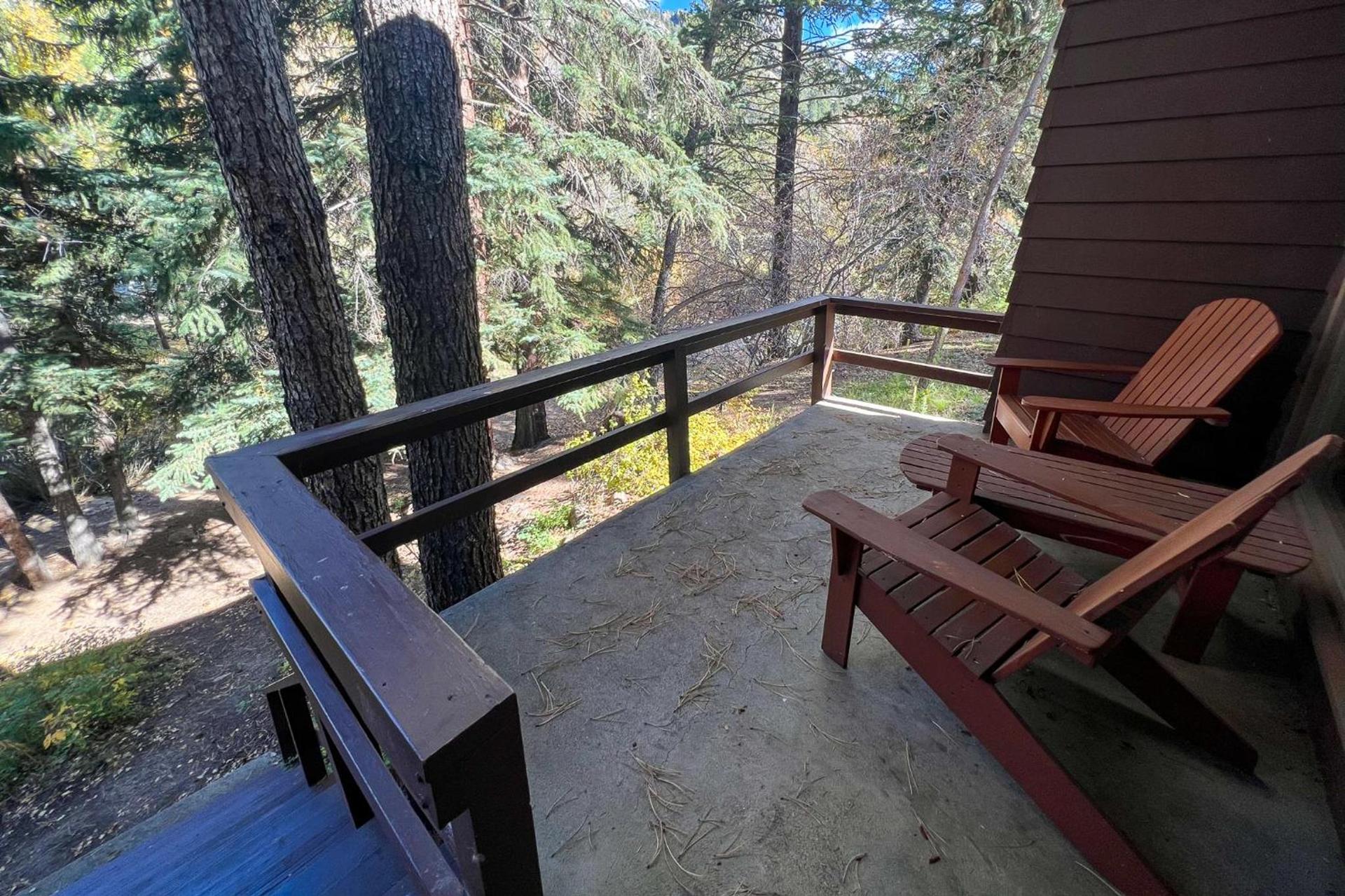 Castle Mountain Lodge photo 59