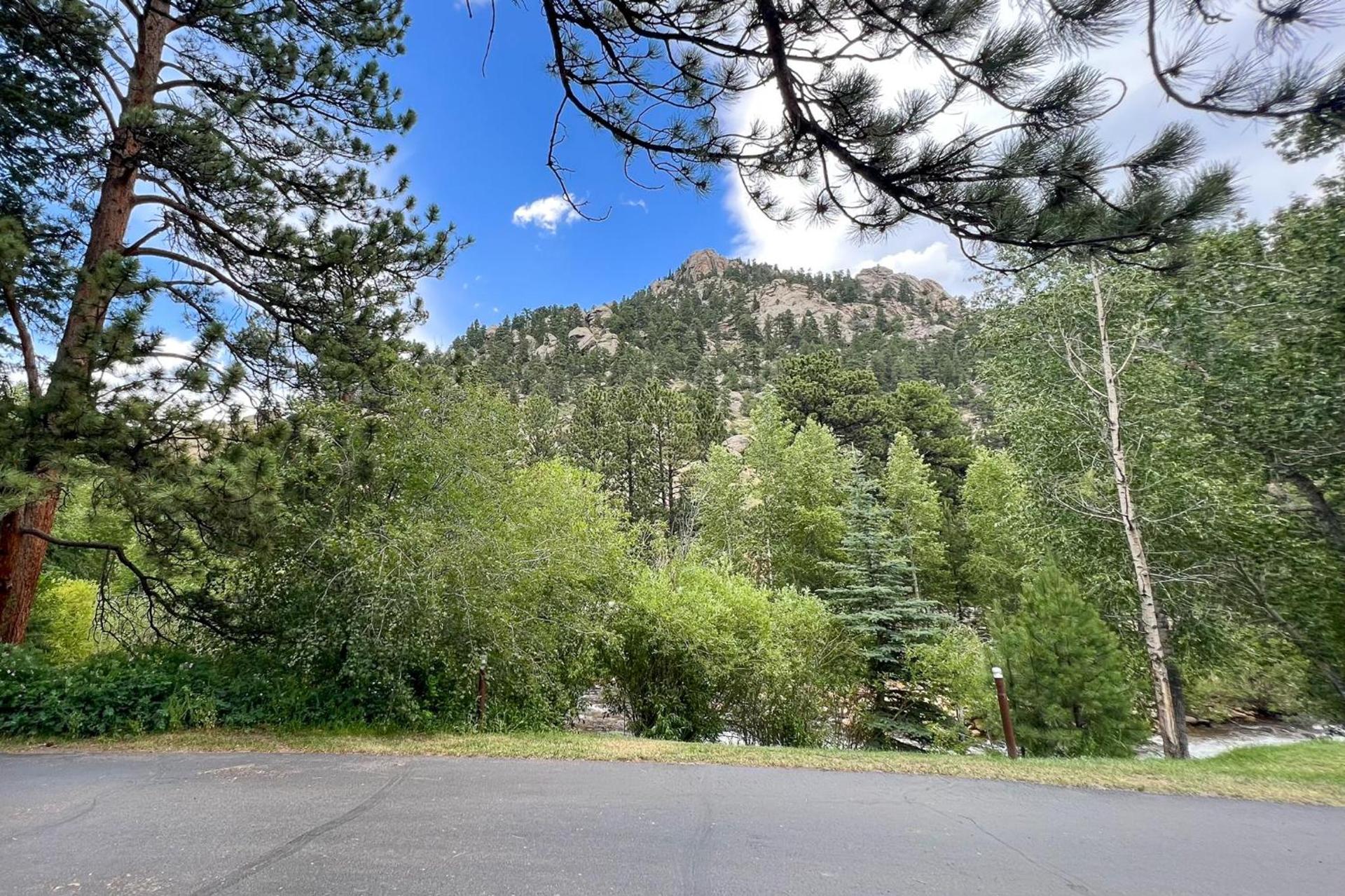 Castle Mountain Lodge photo 35