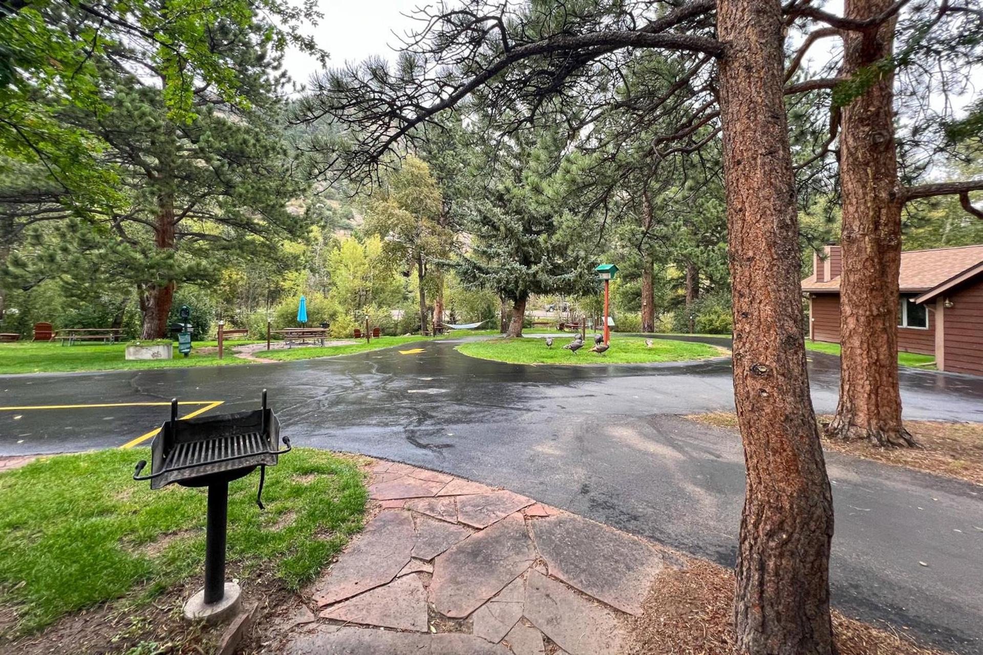 Castle Mountain Lodge photo 16