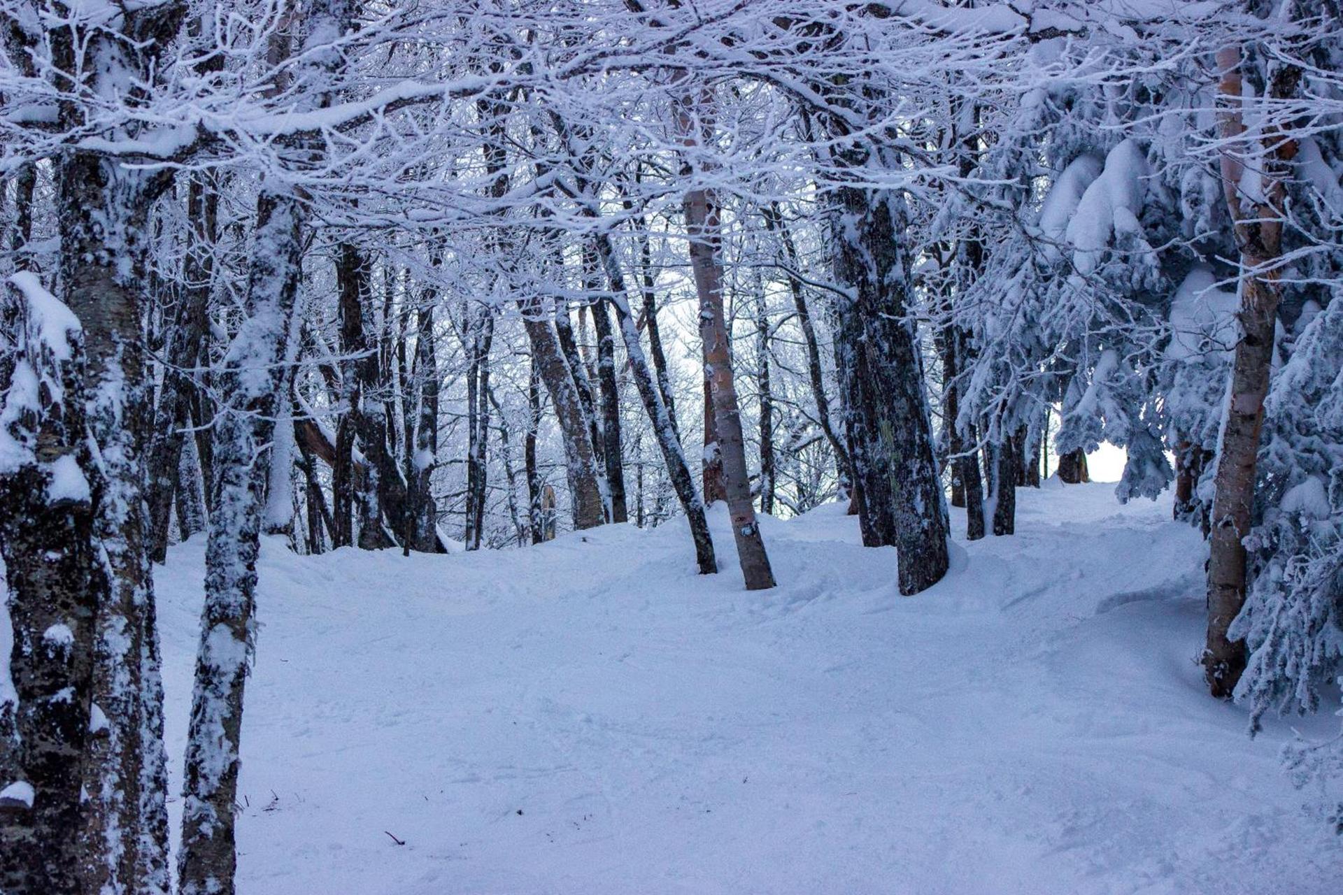Smugglers' Notch Resort Private Suites photo 4