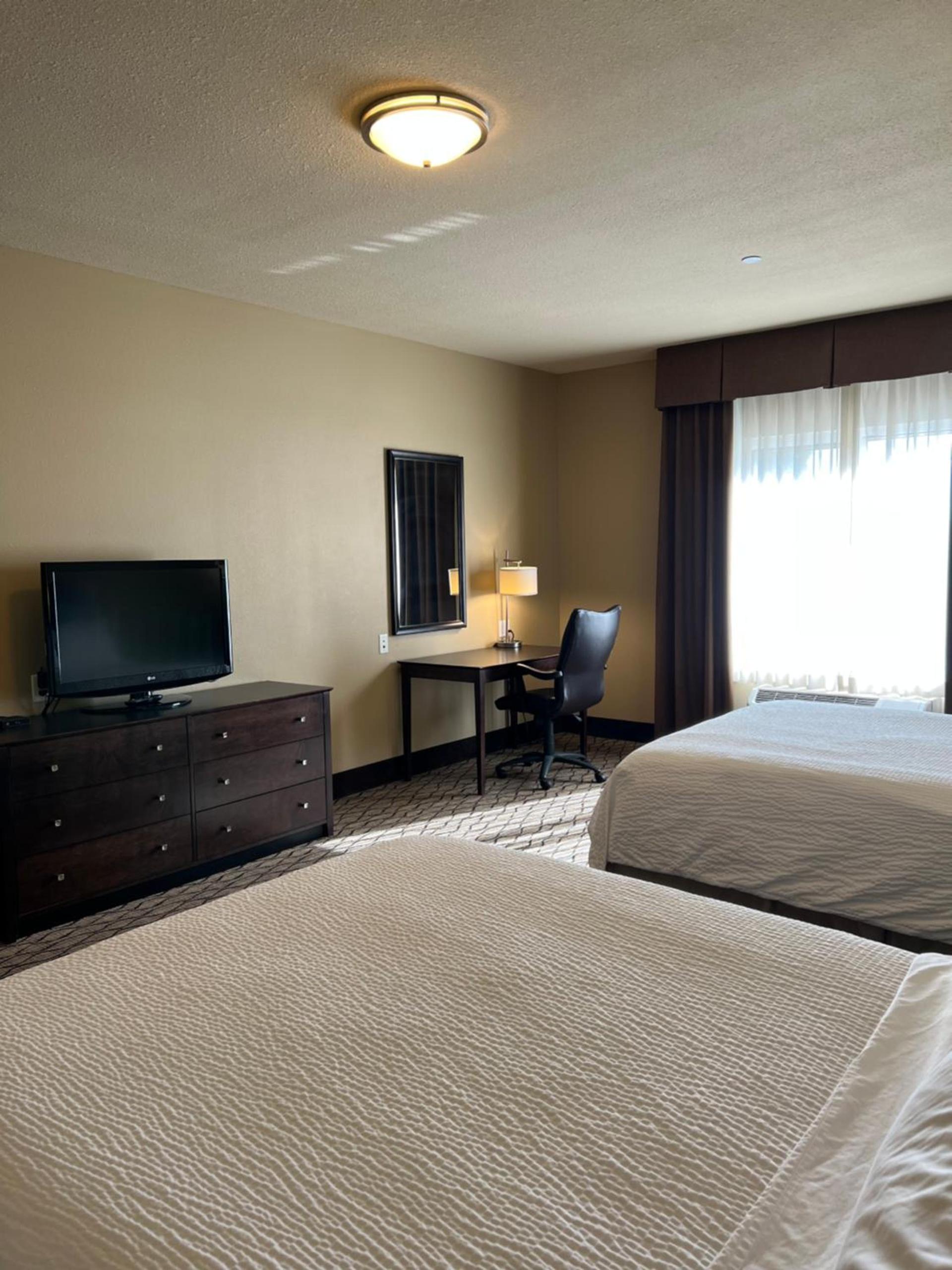 Holiday Inn Express & Suites - Williston by IHG photo 3