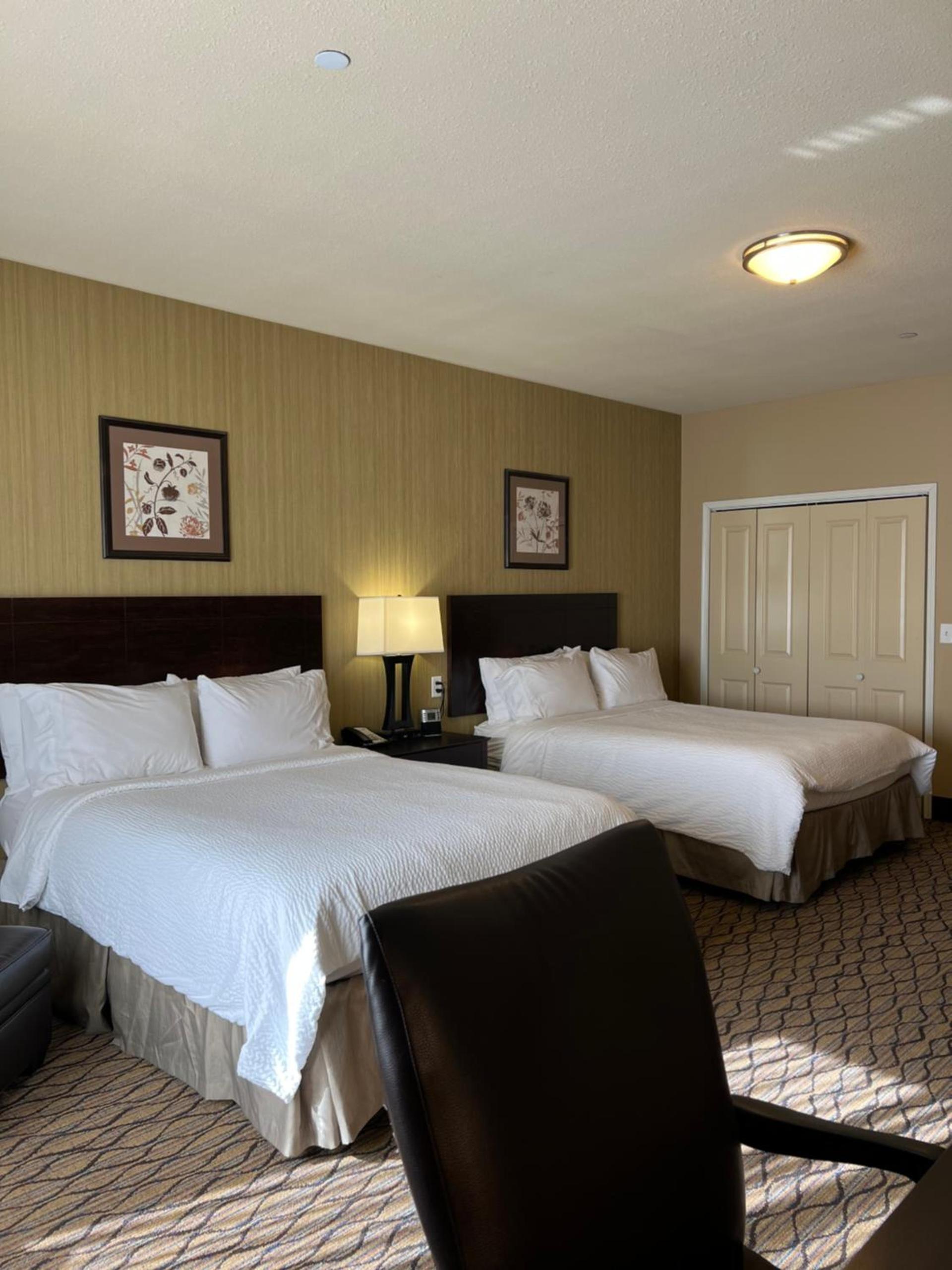 Holiday Inn Express & Suites - Williston by IHG photo 2