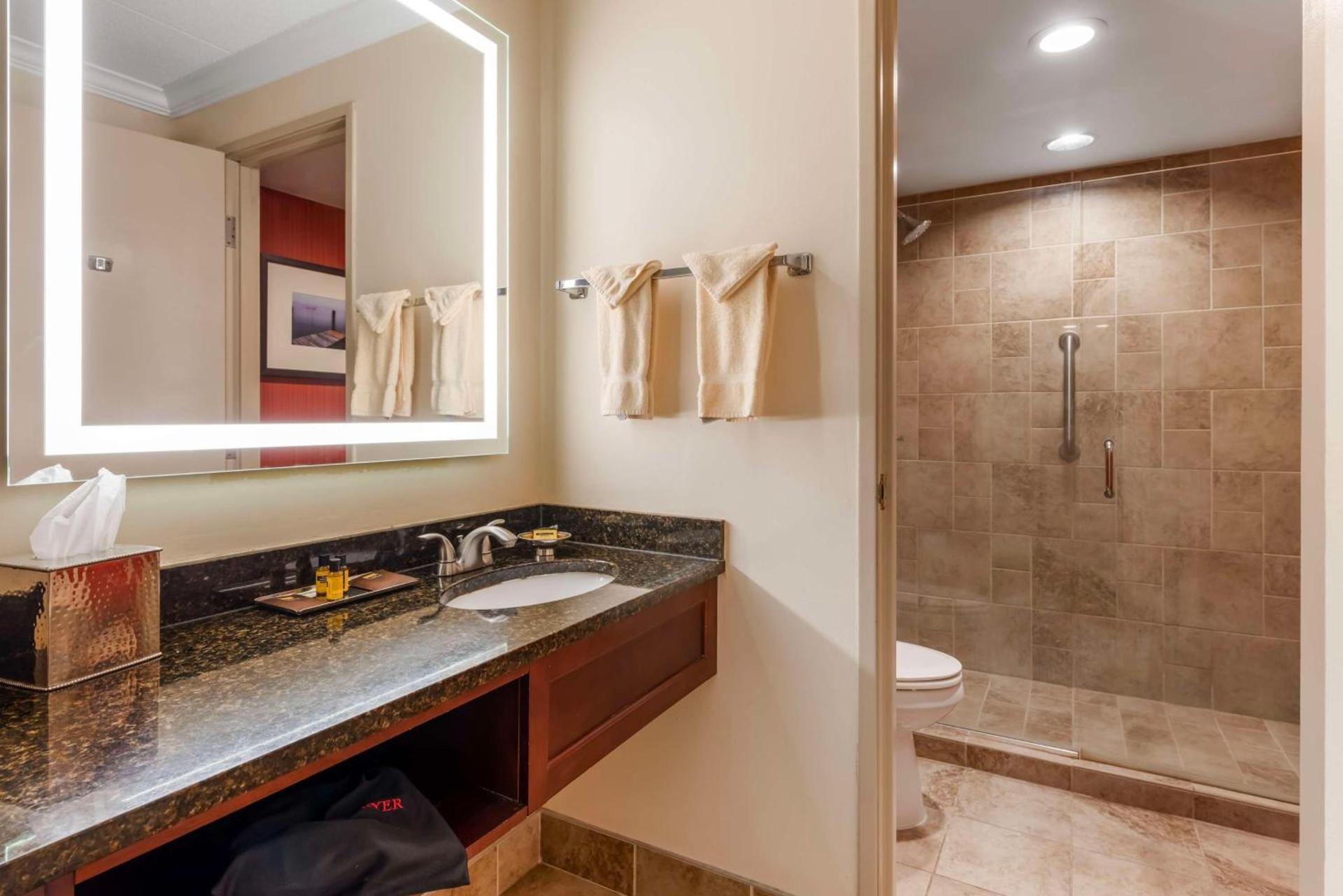 Best Western Plus White Bear Country Inn photo 33