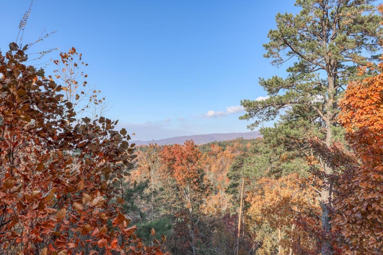Black Bear Ridge Resort: Valhalla Manor by DC photo 22