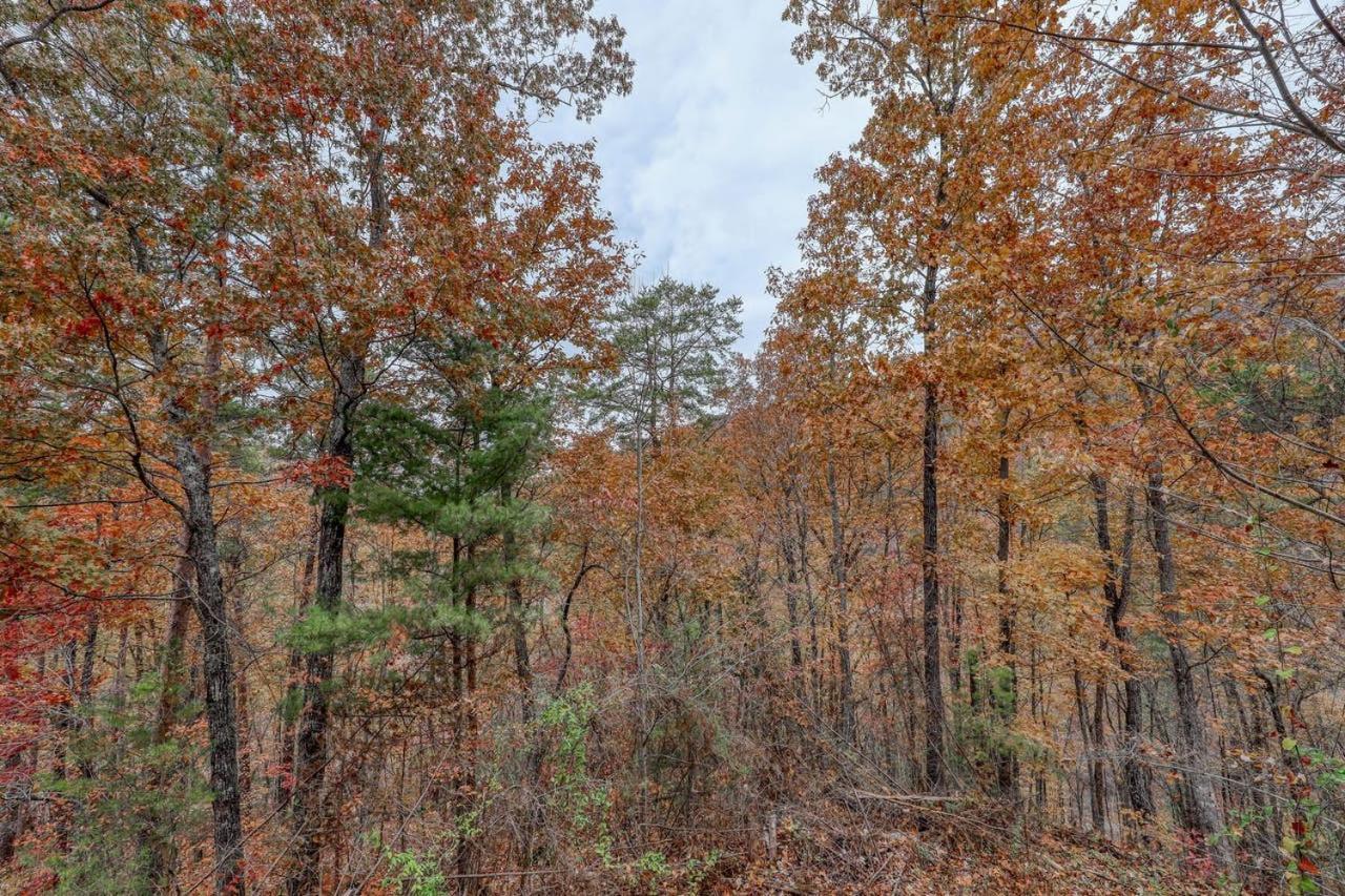 Black Bear Ridge Resort: Valhalla Manor by DC photo 33