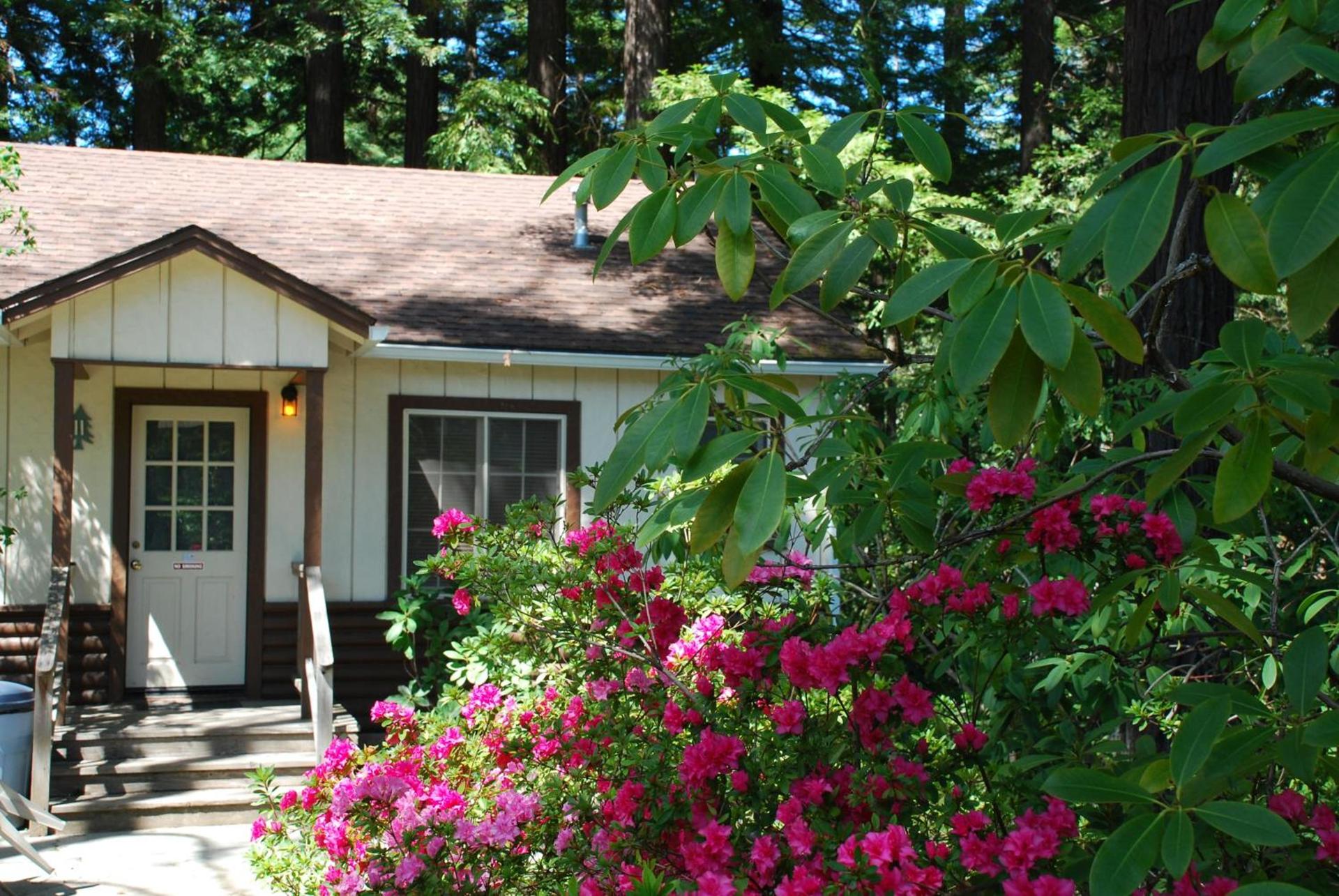 Miranda Gardens Resort photo 6