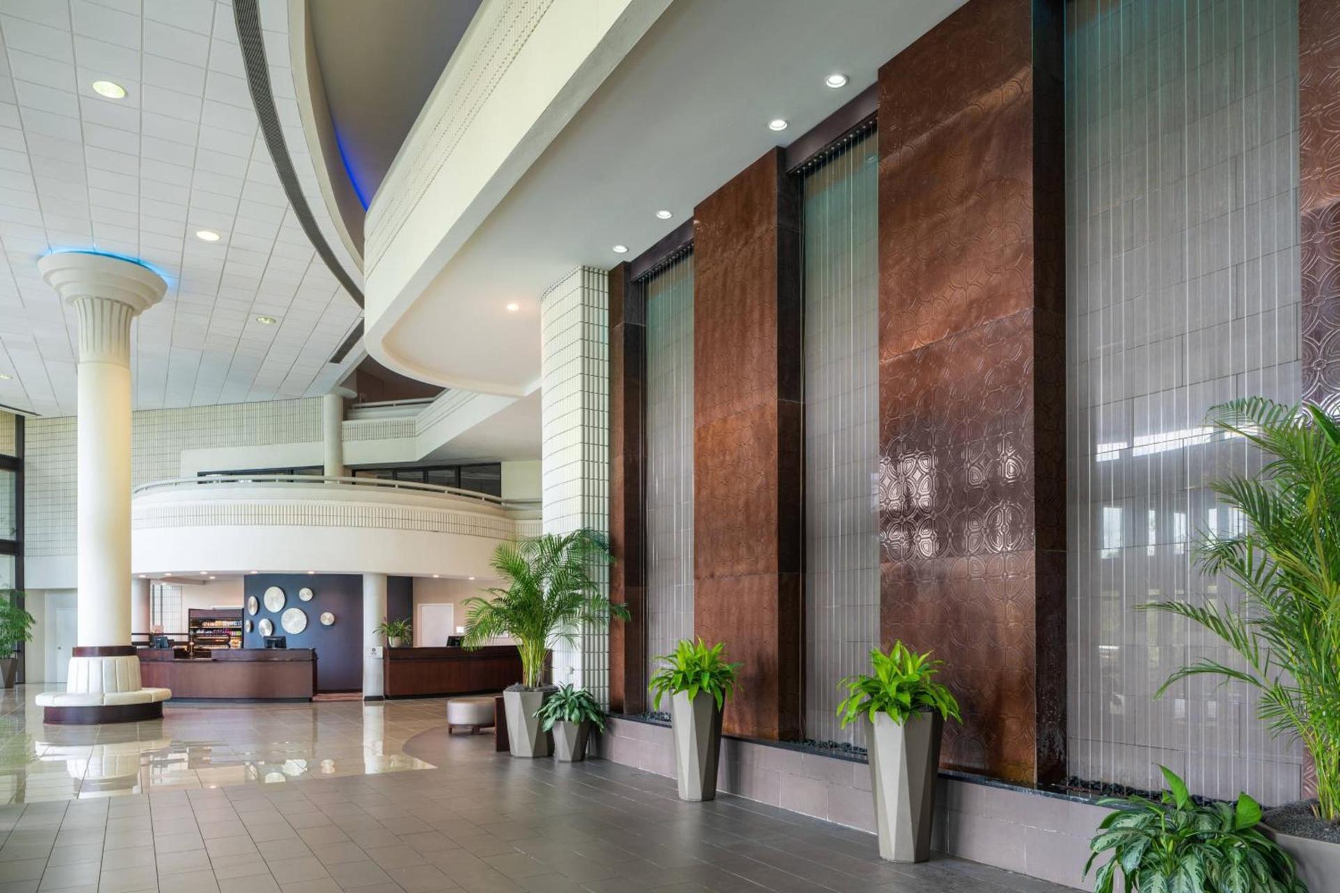 Sheraton Tampa Brandon Hotel photo 3