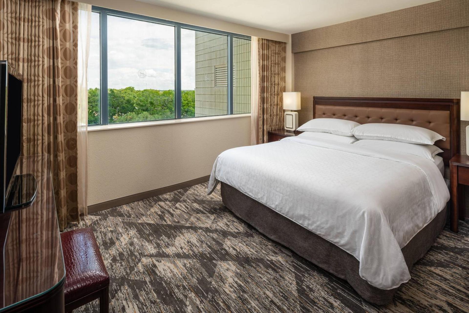 Sheraton Tampa Brandon Hotel photo 13