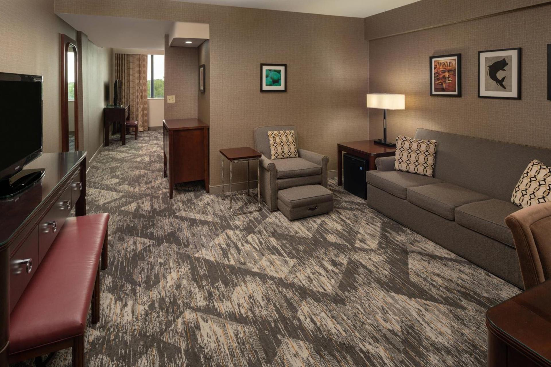 Sheraton Tampa Brandon Hotel photo 14