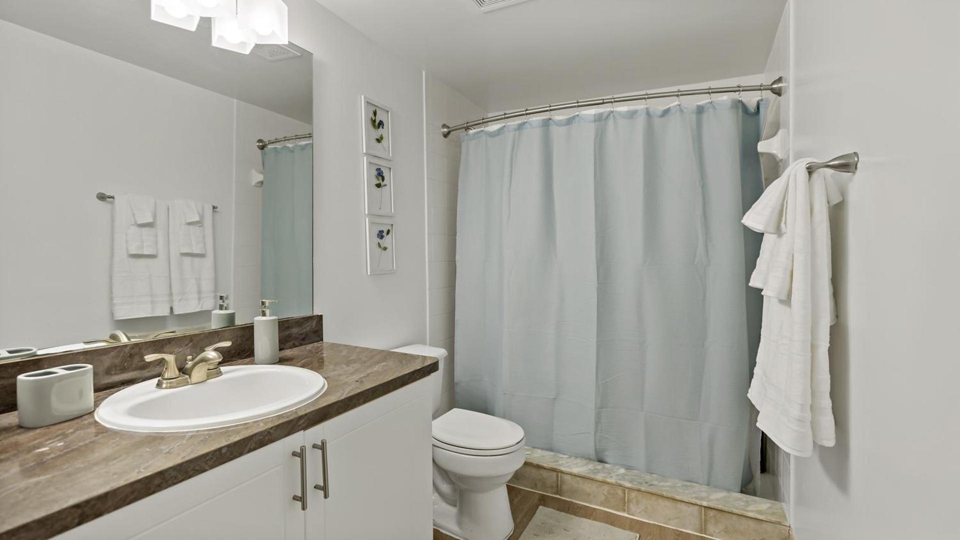 The Voya - Wellington photo 44