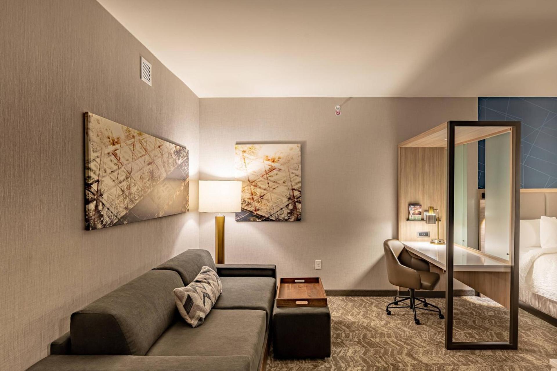 SpringHill Suites by Marriott Dallas McKinney photo 22