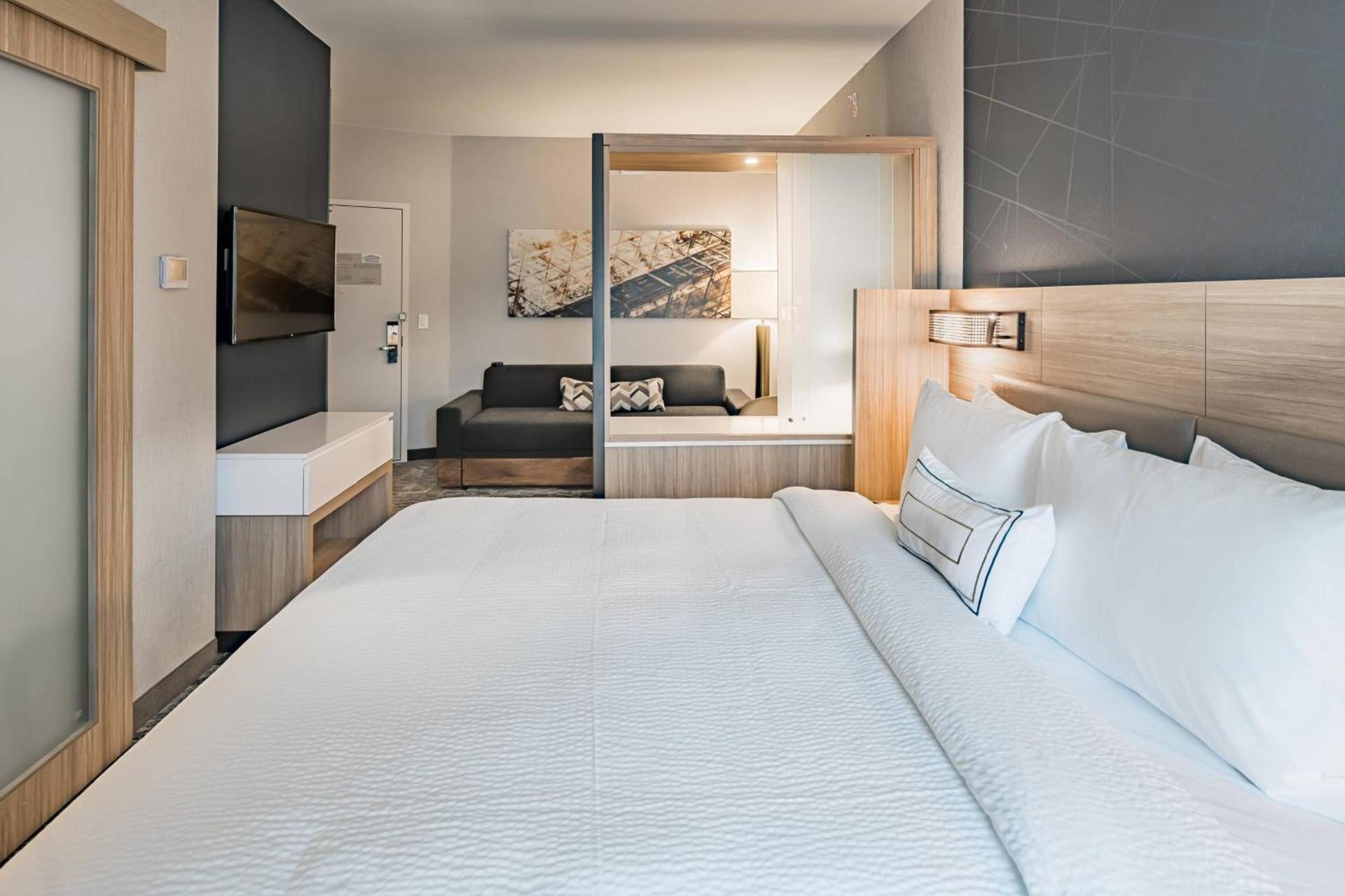 SpringHill Suites by Marriott Dallas McKinney photo 6