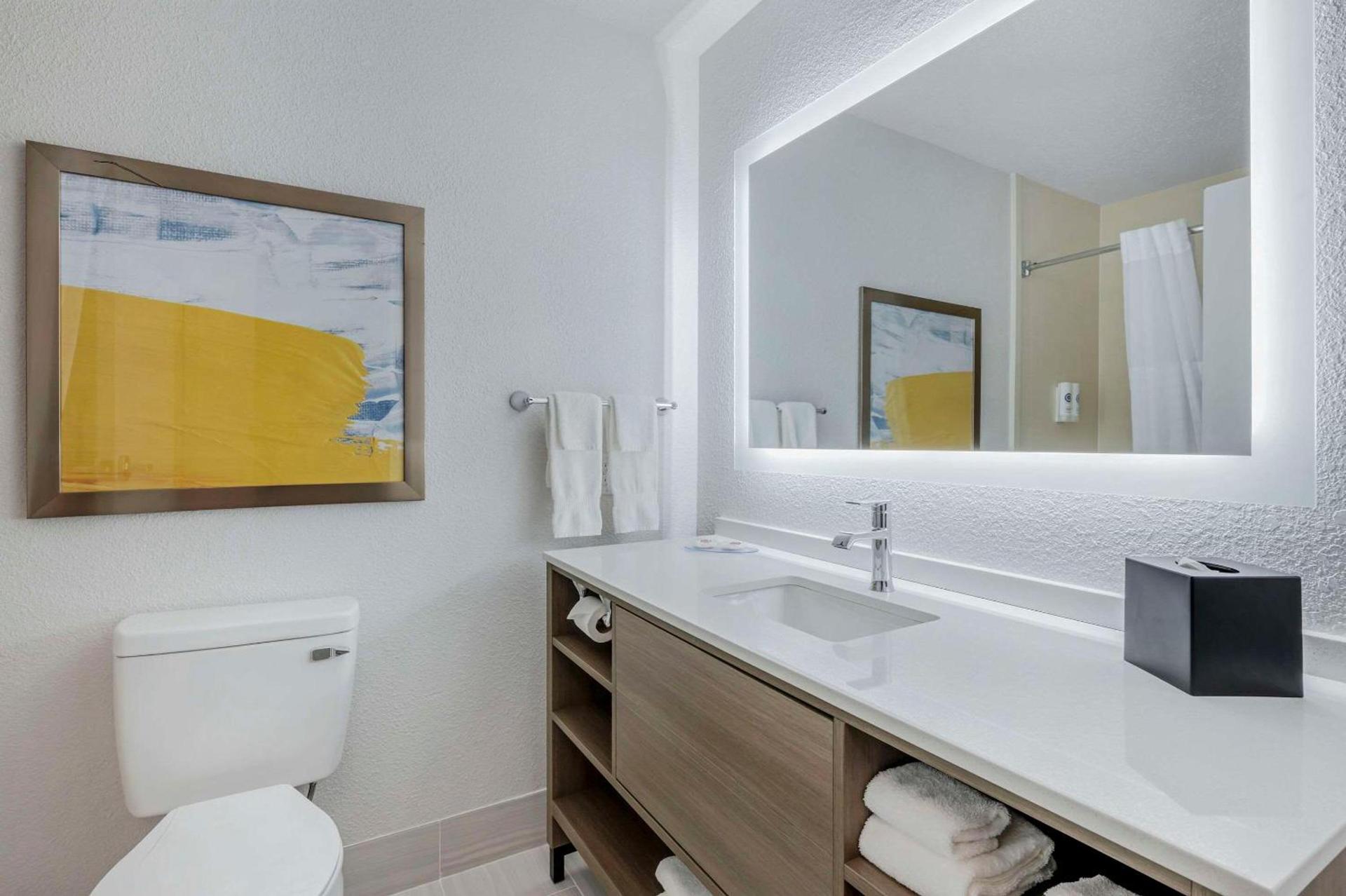 Comfort Suites West Indianapolis - Brownsburg photo 15
