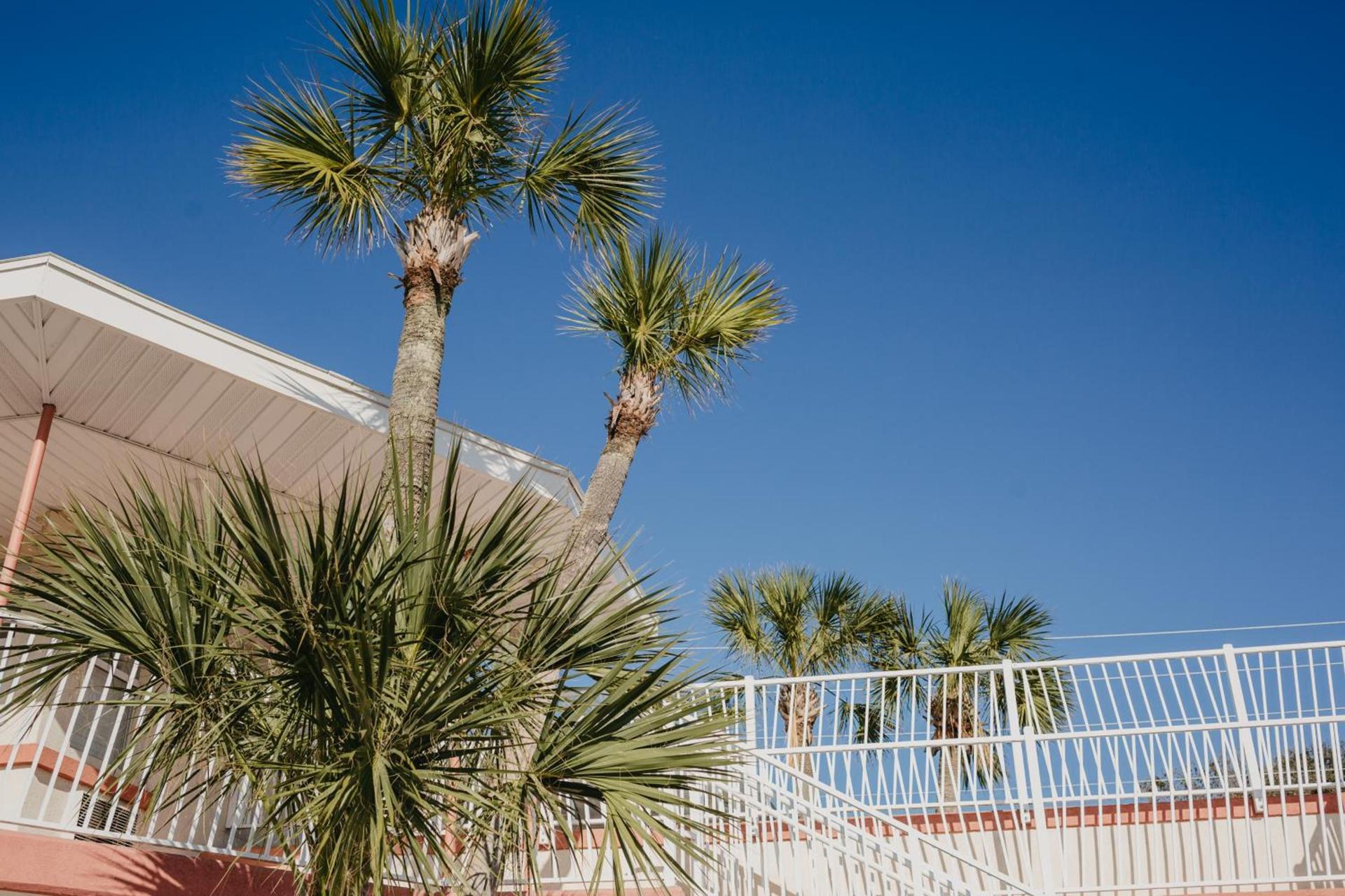 The Local - St. Augustine photo 81