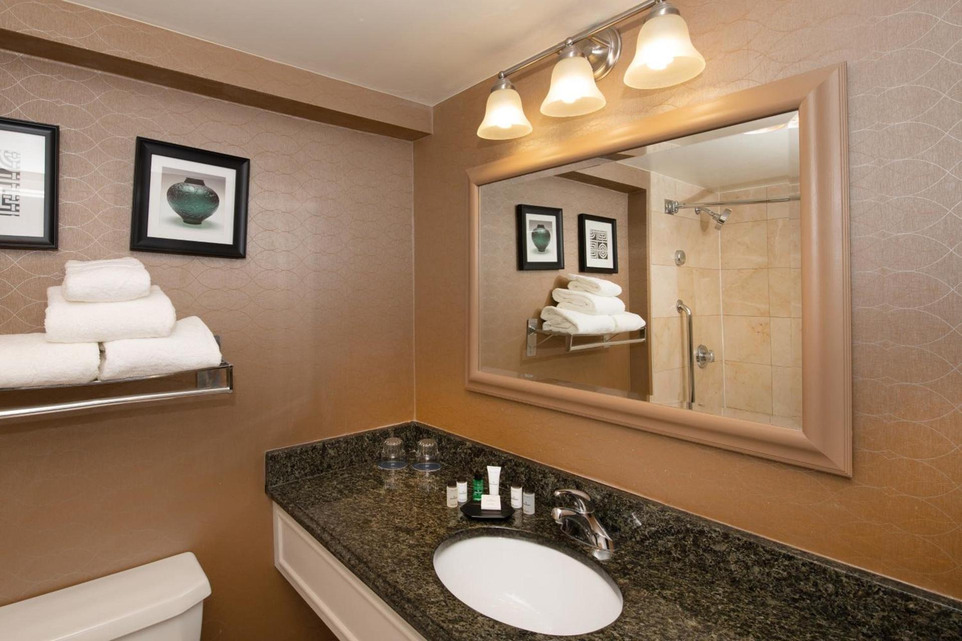 Sheraton Hartford South photo 20