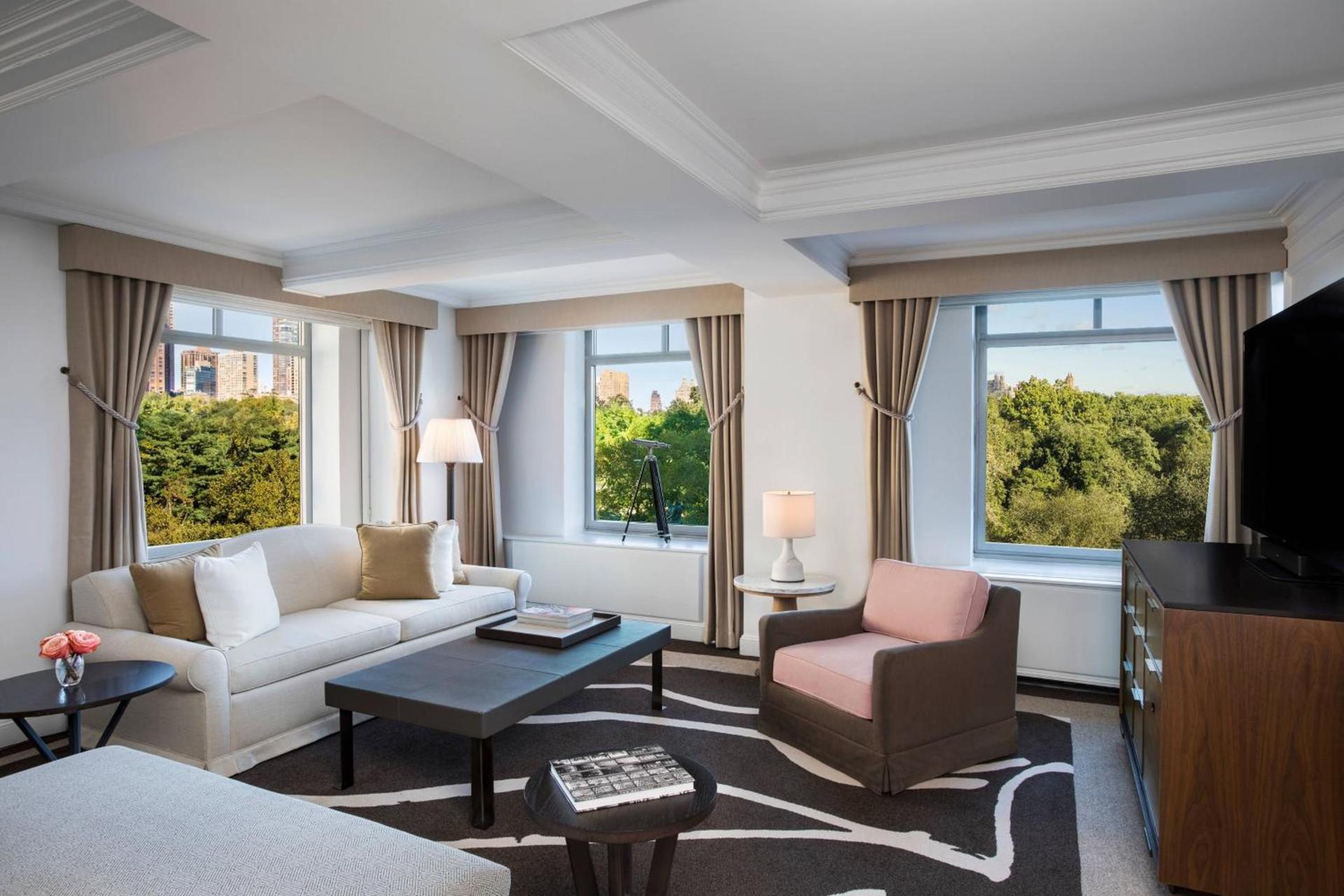 The Ritz-Carlton New York, Central Park photo 100
