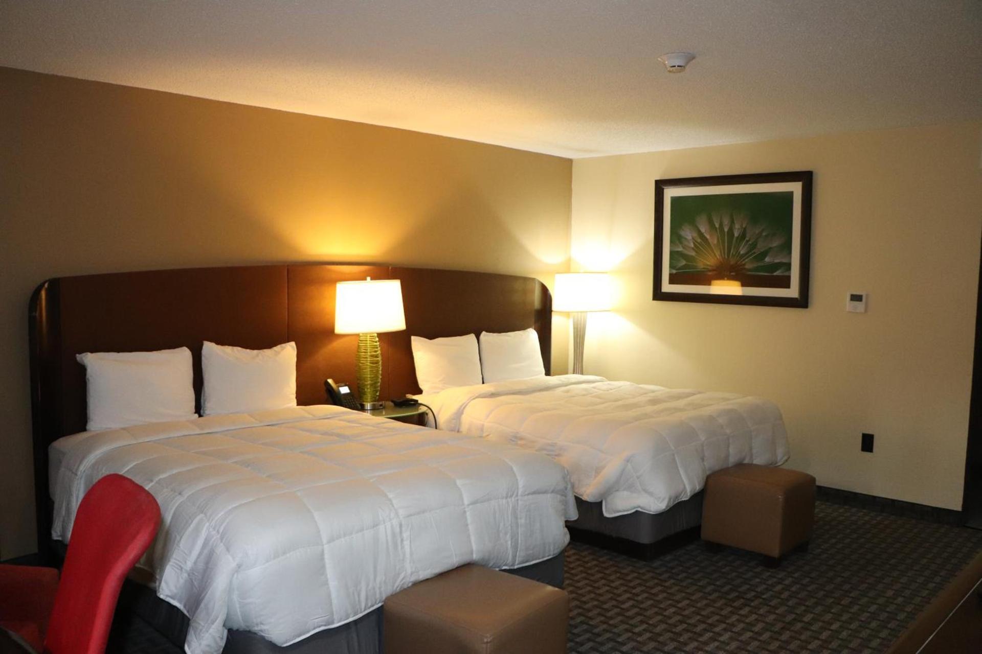 Historic Cow Palace Inn photo 4
