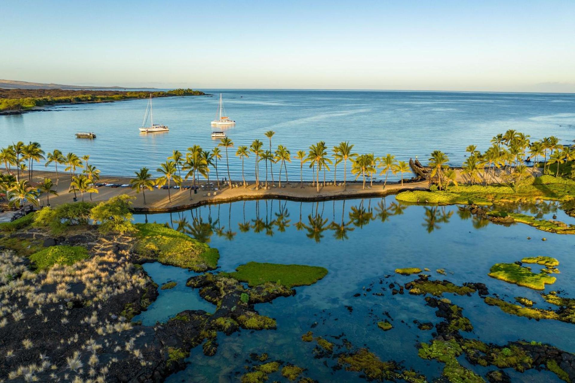 Waikoloa Beach Marriott Resort & Spa photo 9