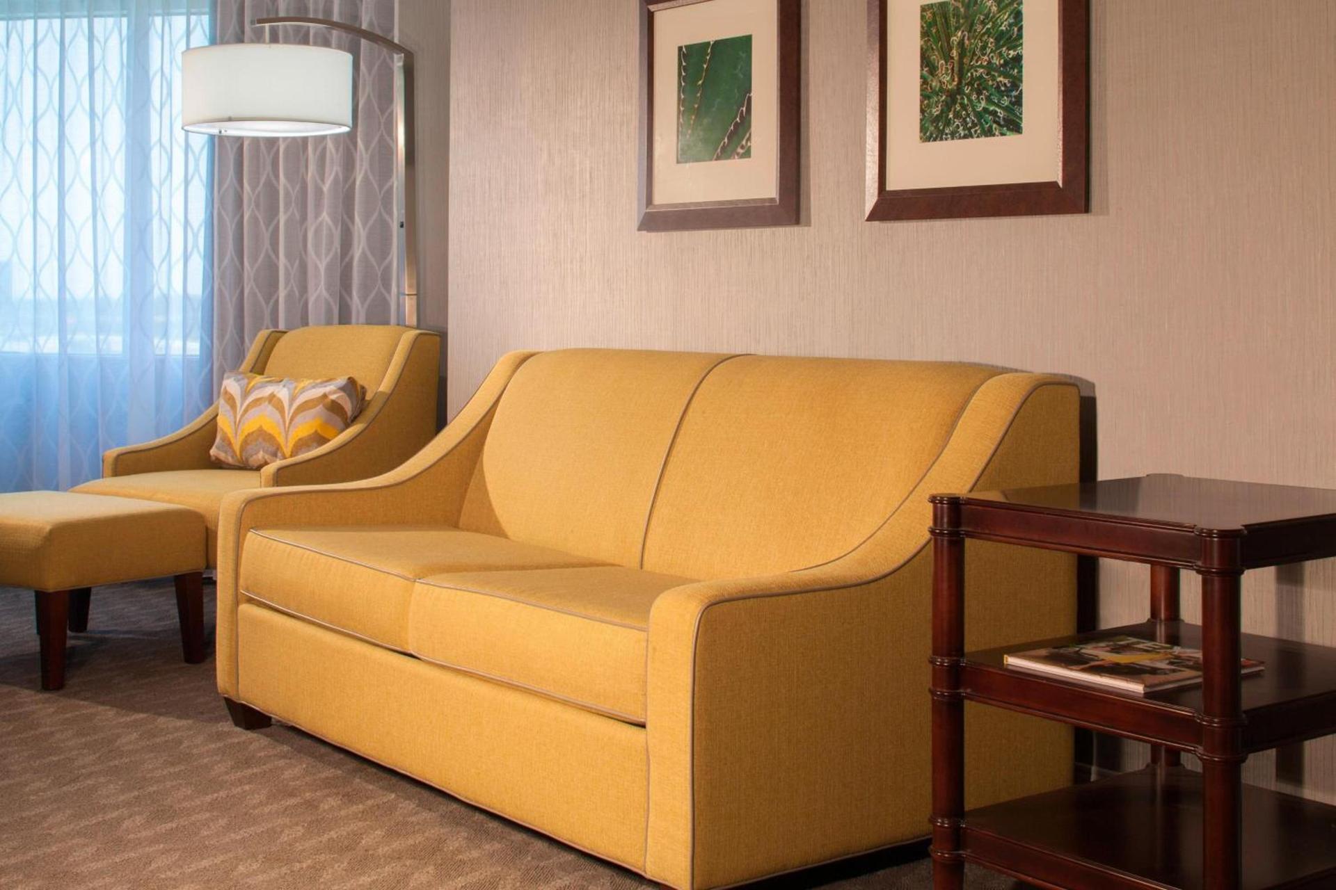 Sheraton Arlington Hotel photo 14