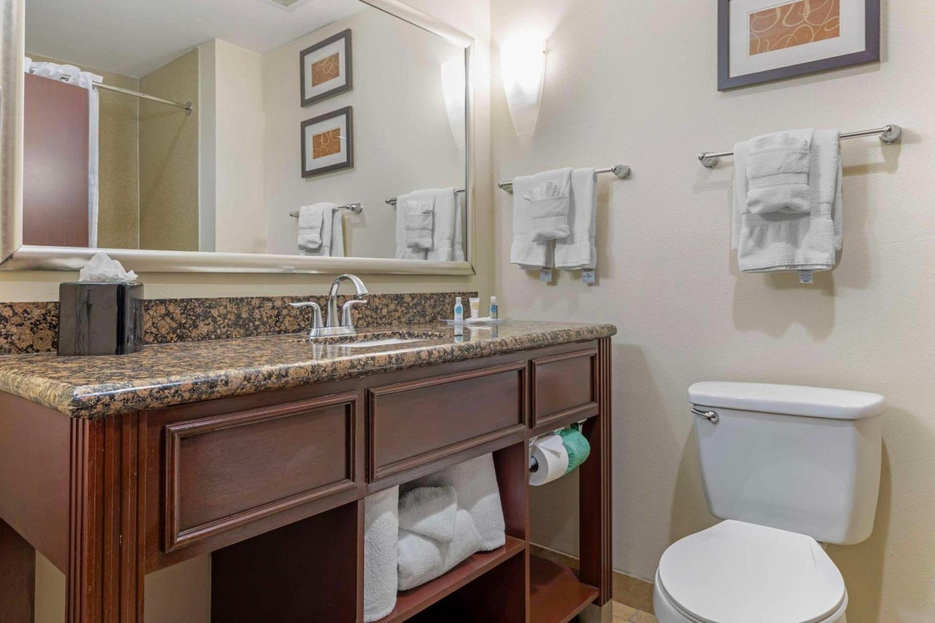 Comfort Suites West Dallas - Cockrell Hill photo 4