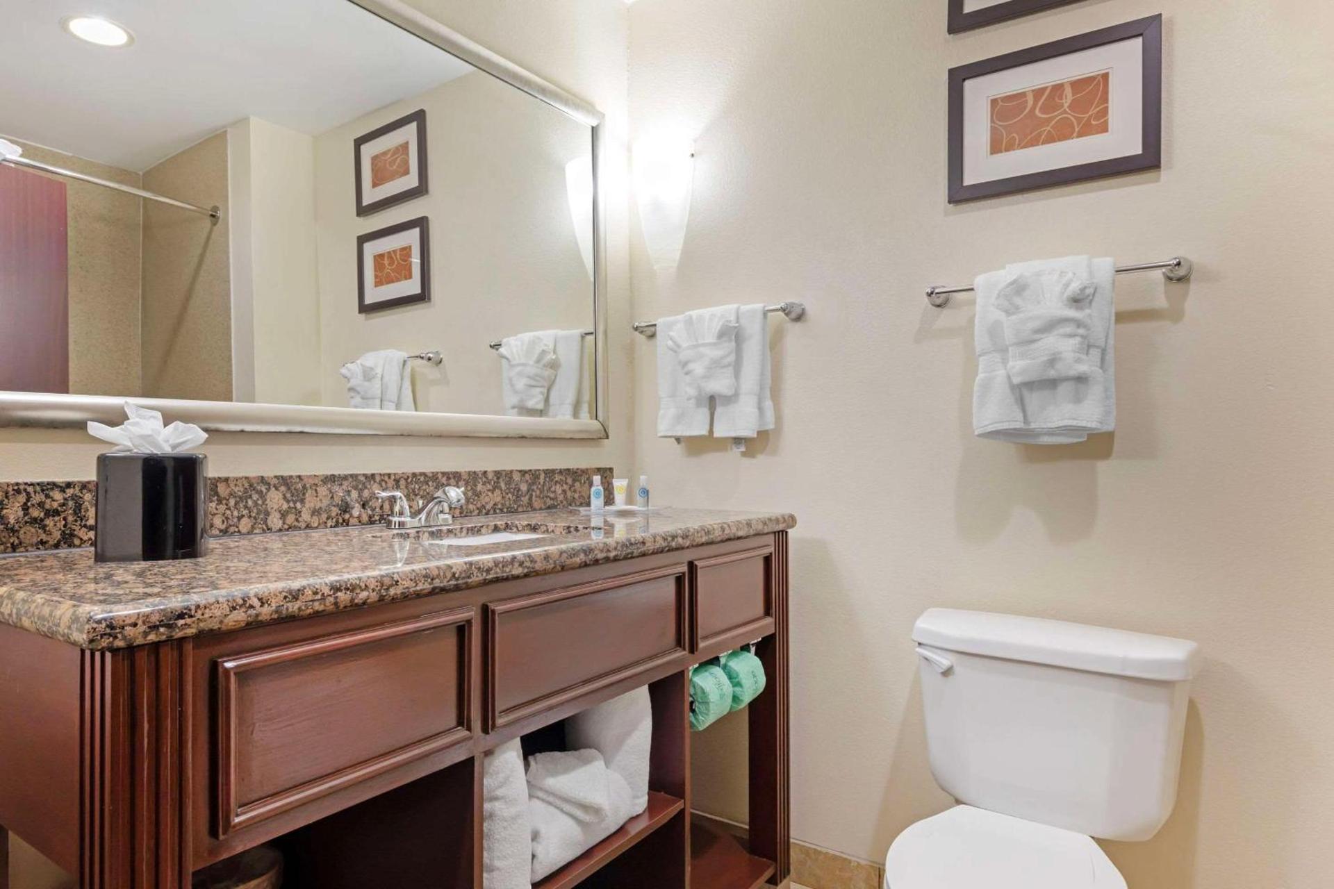 Comfort Suites West Dallas - Cockrell Hill photo 5