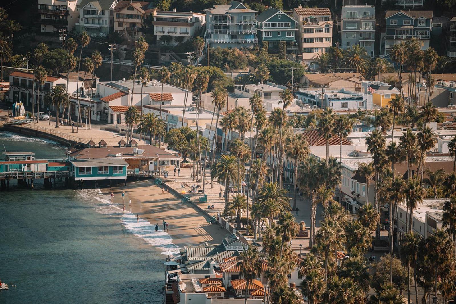 The Edgewater photo 56