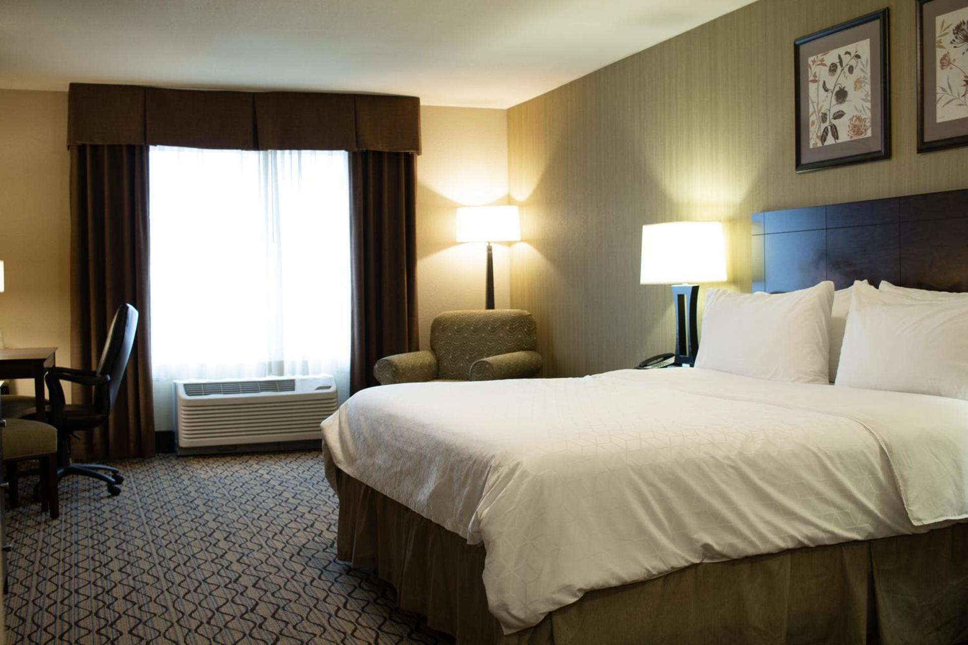 Holiday Inn Express & Suites - Williston by IHG photo 4