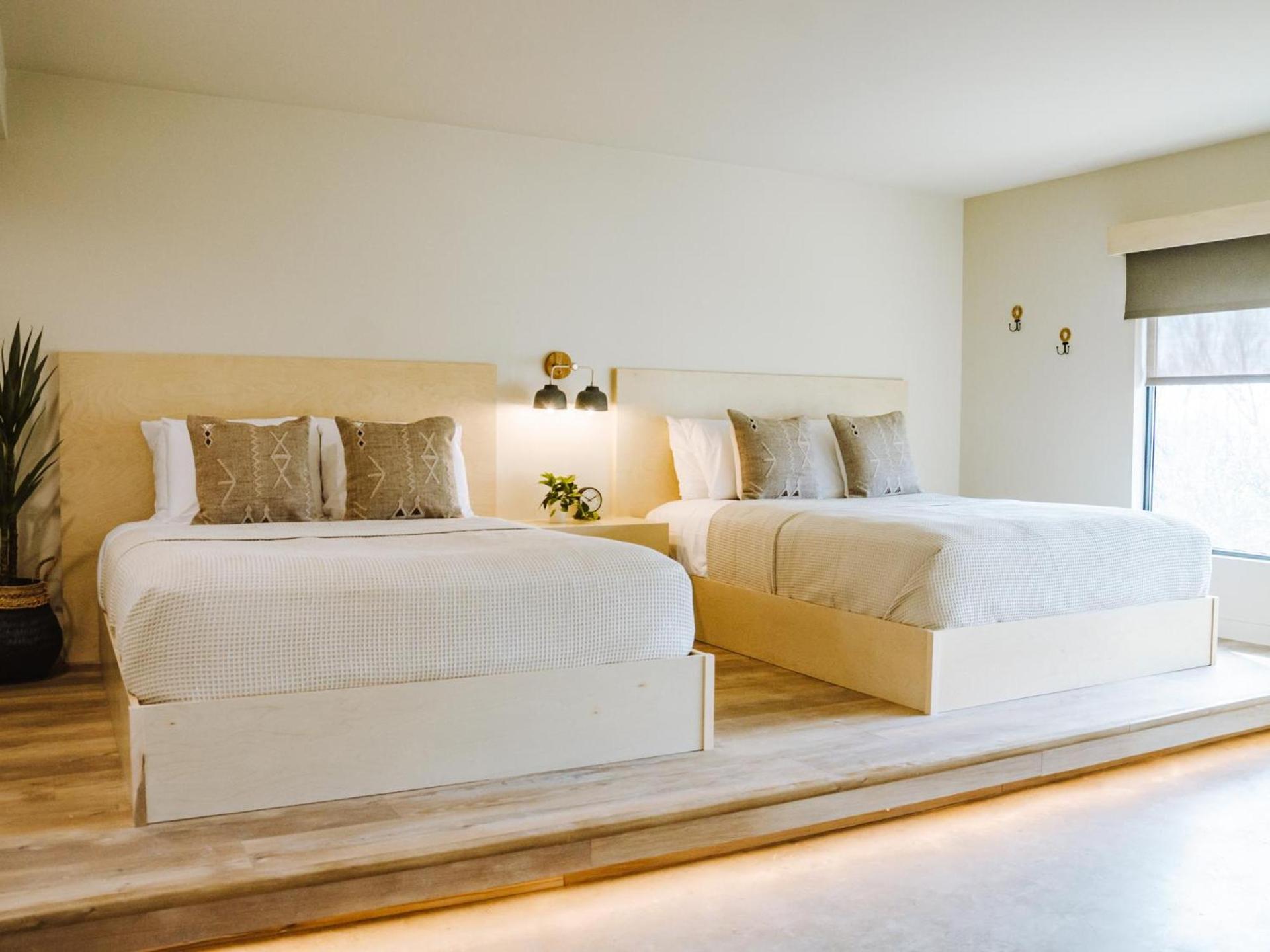 Brut Hotel photo 42