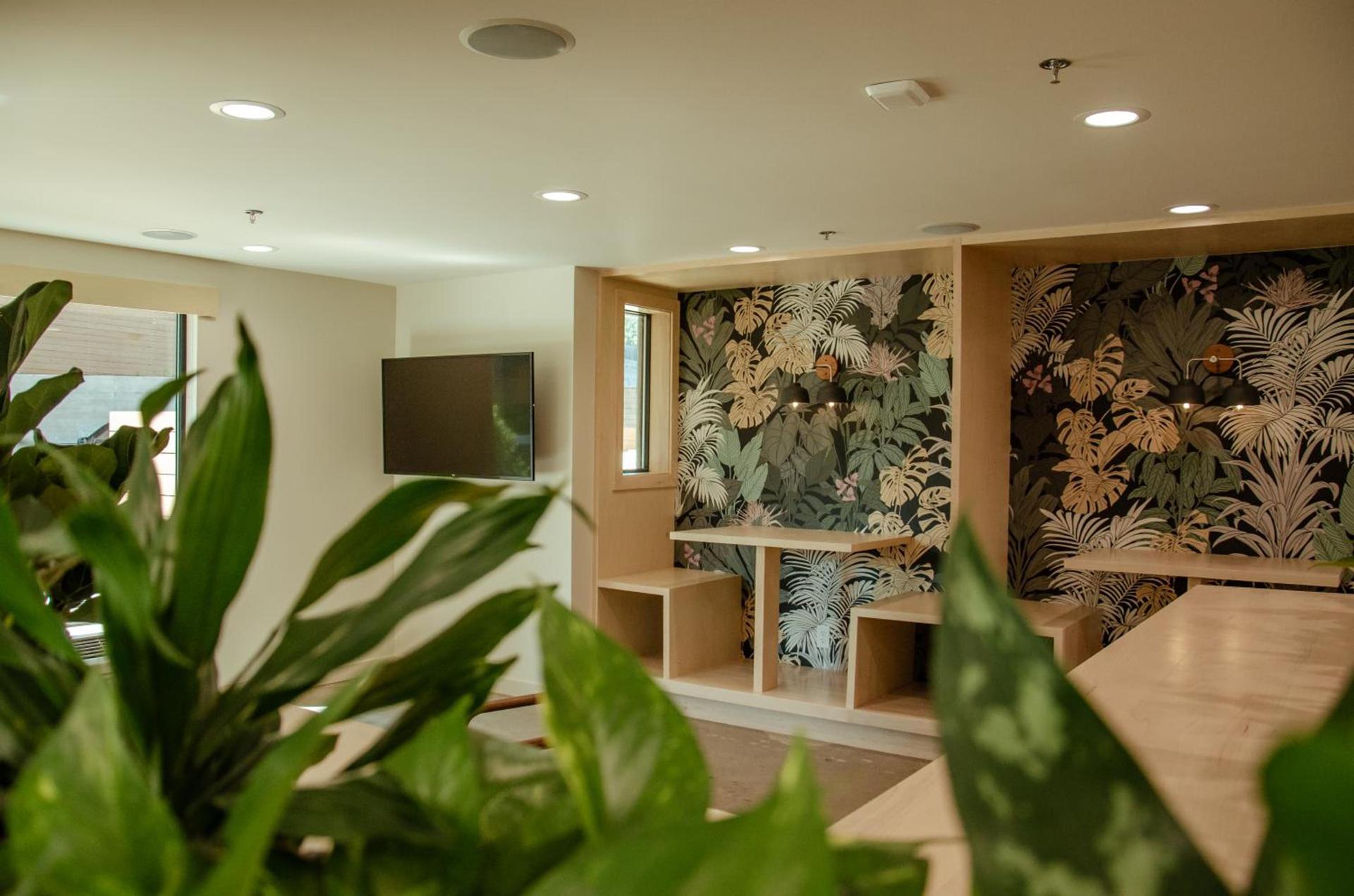 Brut Hotel photo 6