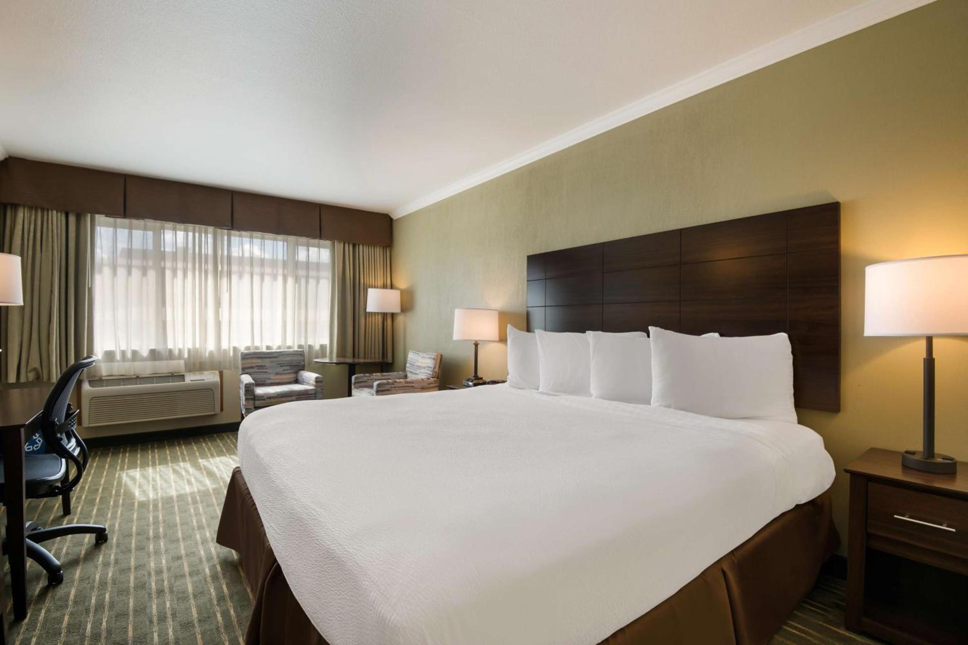 Best Western Holiday Hotel photo 13
