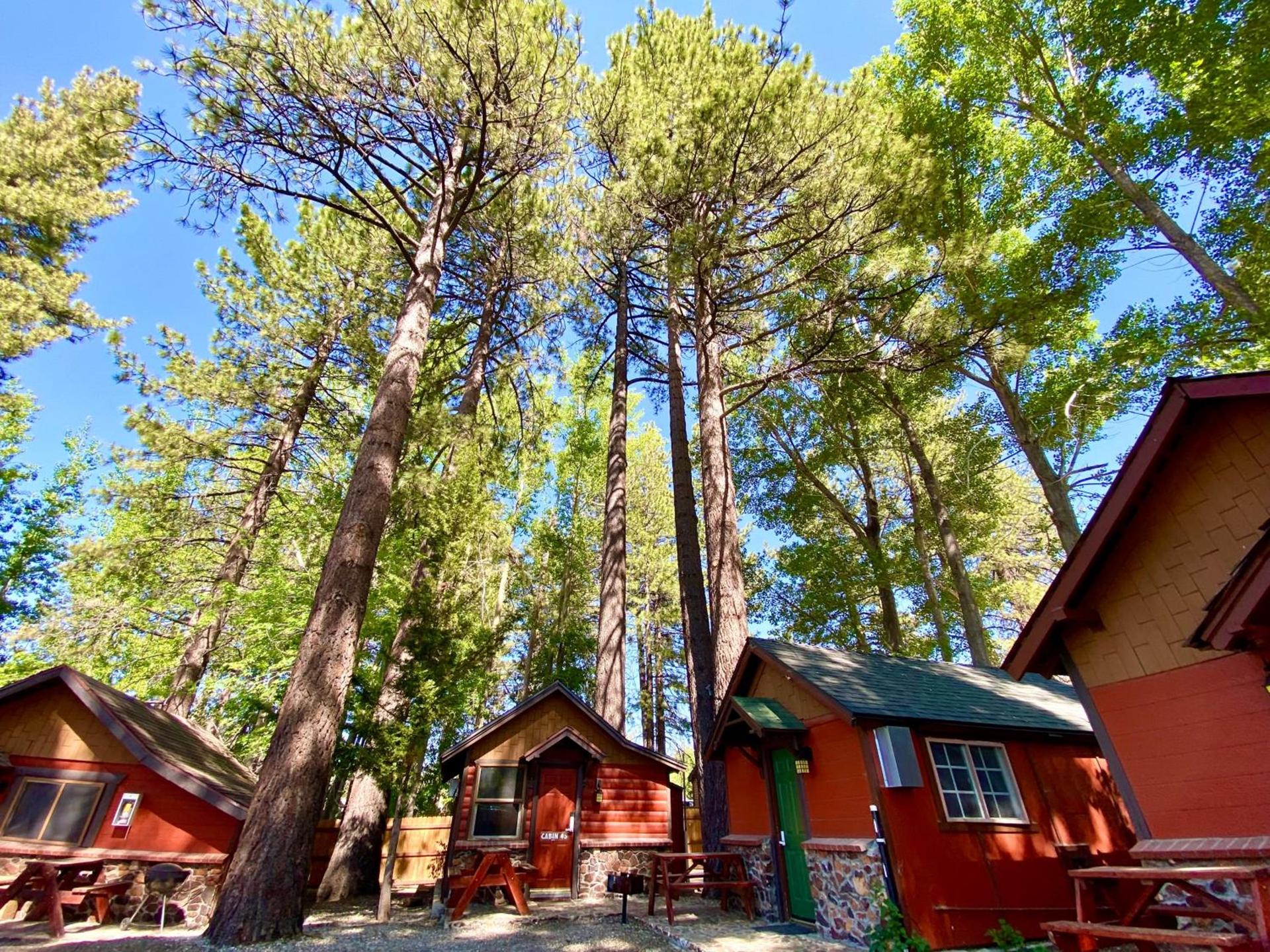 The Village Cabins photo 1