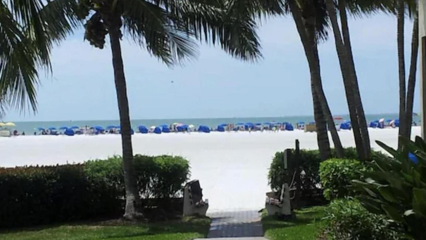 Always Summer On a White Sandy Beach photo 36