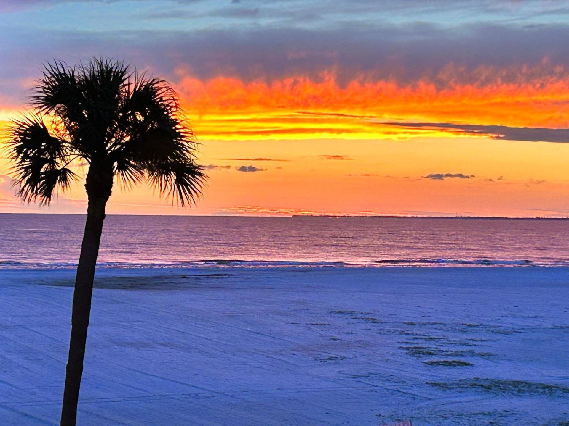 Always Summer On a White Sandy Beach photo 11