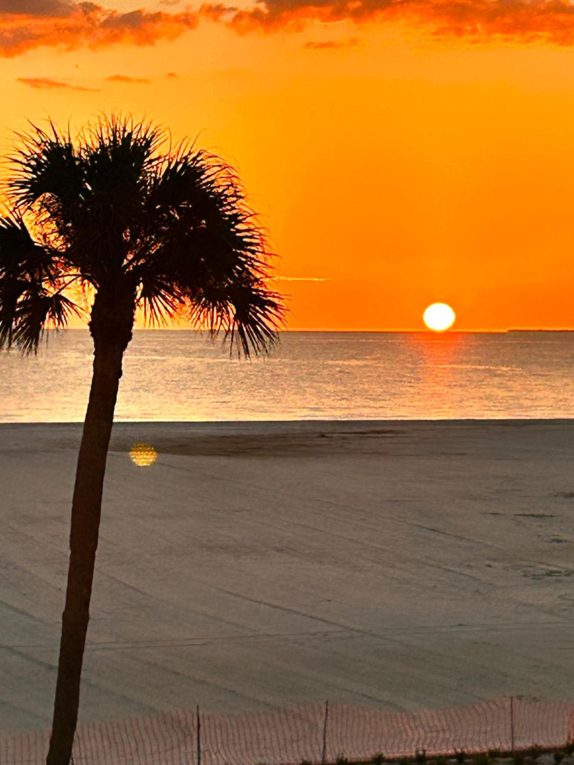 Always Summer On a White Sandy Beach photo 35
