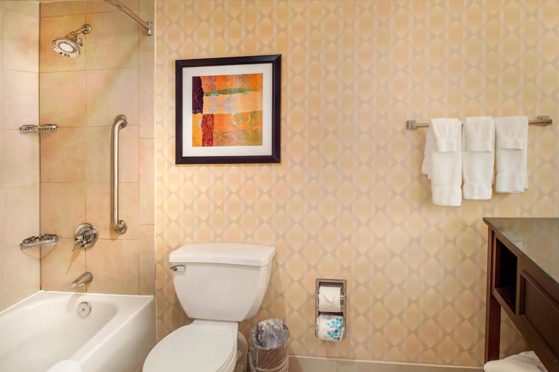 Crowne Plaza Hotel St. Louis Airport by IHG photo 59