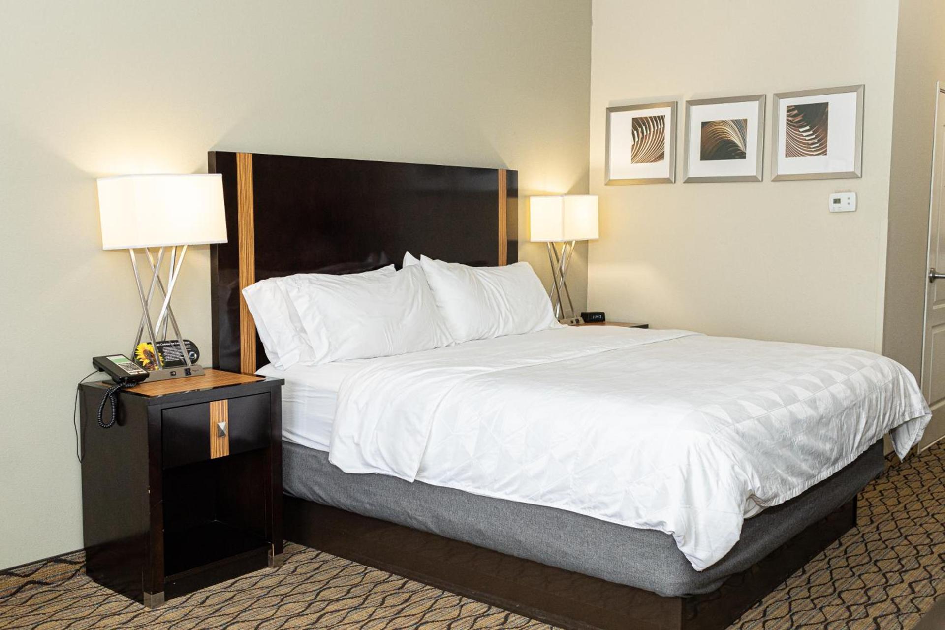 Holiday Inn Effingham by IHG photo 51