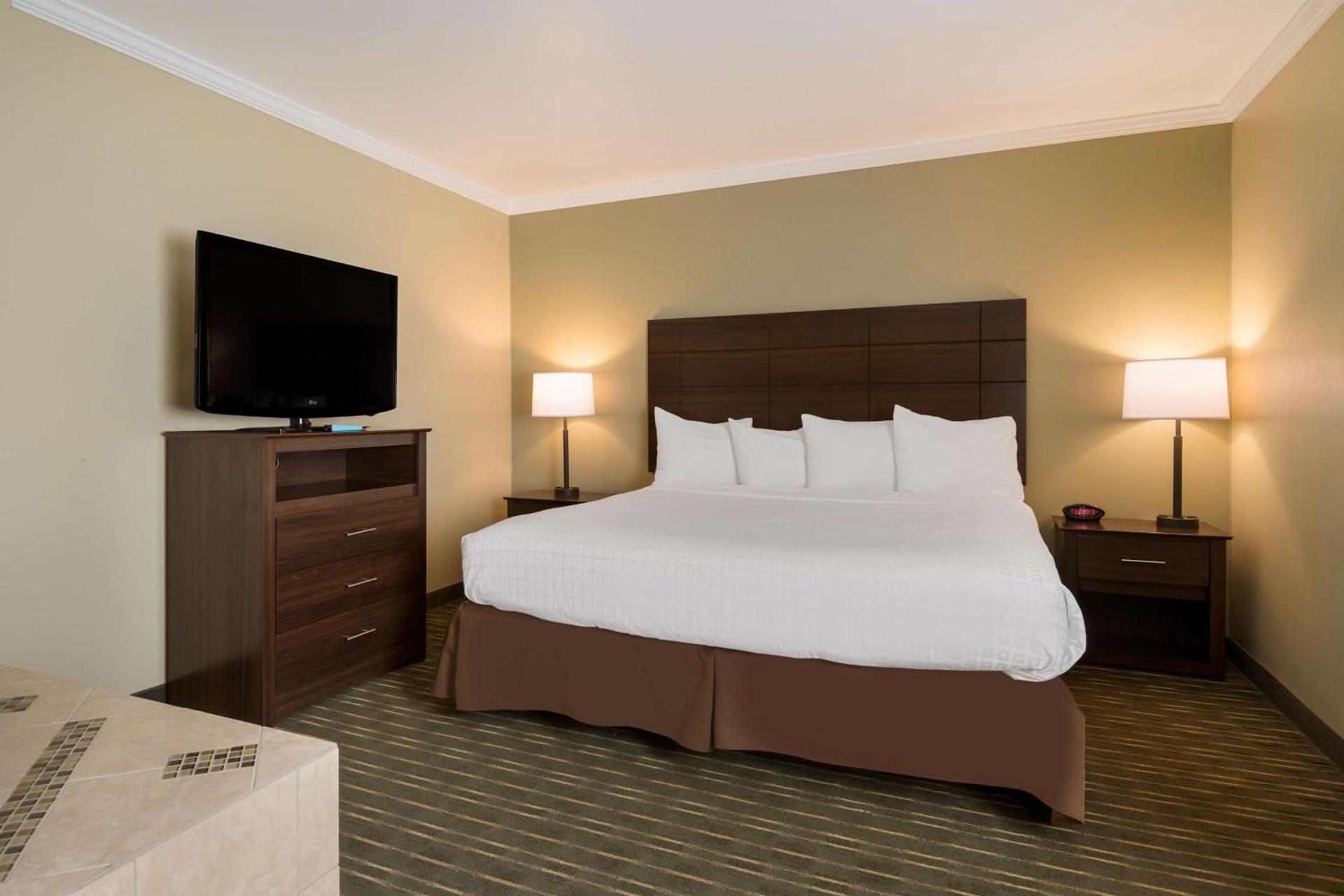 Best Western Holiday Hotel photo 14