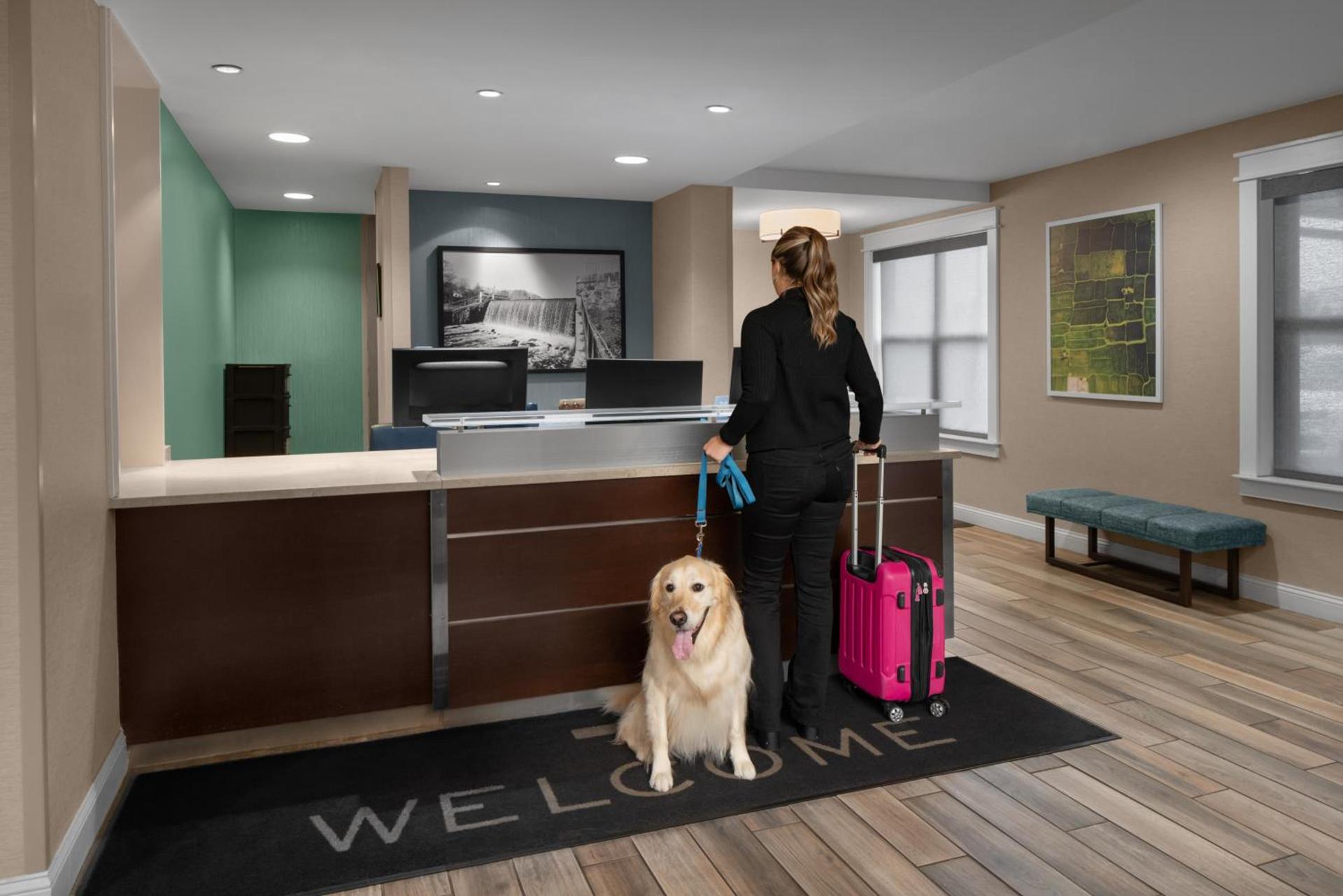 Residence Inn Boston Dedham photo 3