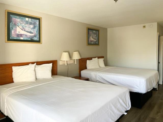 Motel 6 Laurel, MS photo 2